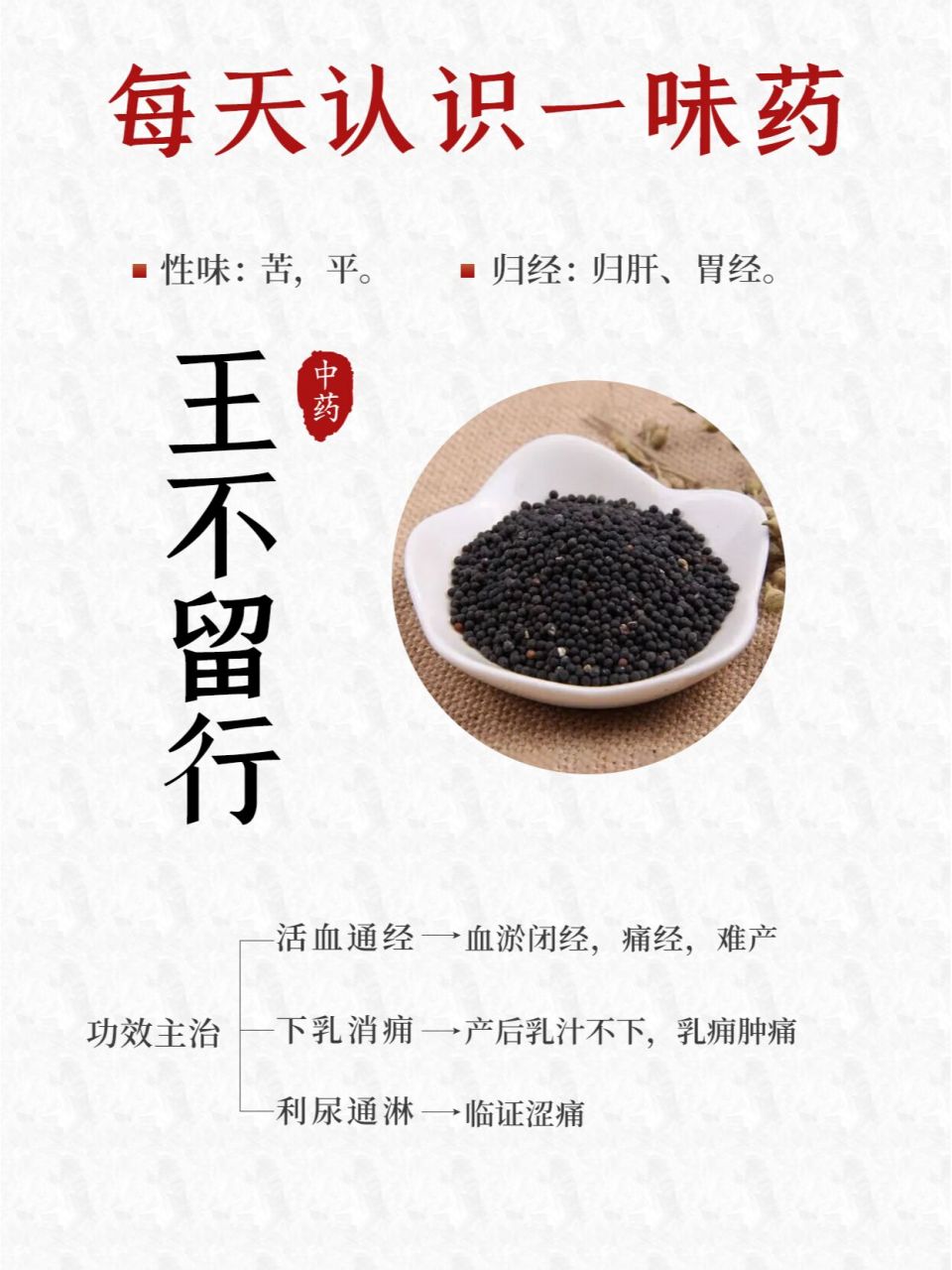 每天认识一味药~王不留行 性味:苦,平. 归经:归肝,胃经.