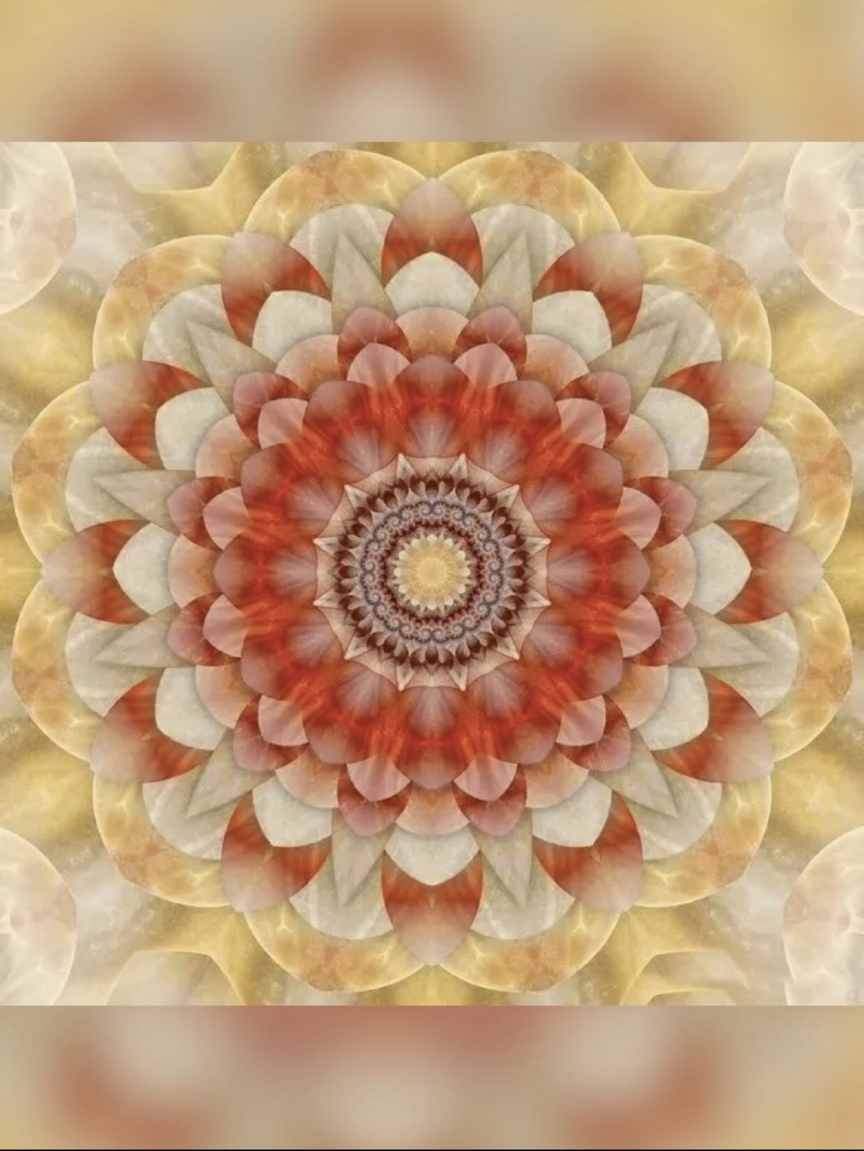 78 宇宙中同时有两个关键的点:一个是n维(n趋