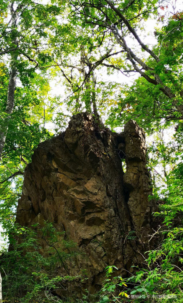 北方的森林明珠-茅荆坝国家森林公园