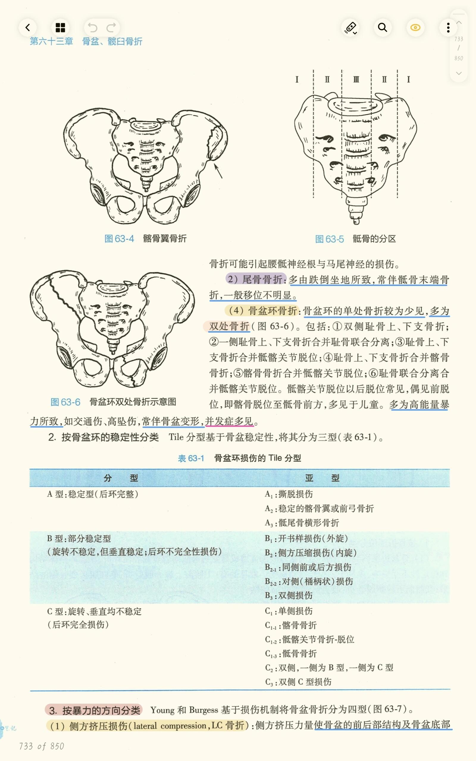 耻骨联合的真人定位图图片