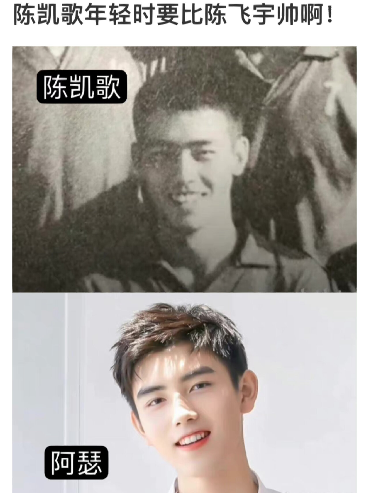 原来陈凯歌年轻时候脸这么小