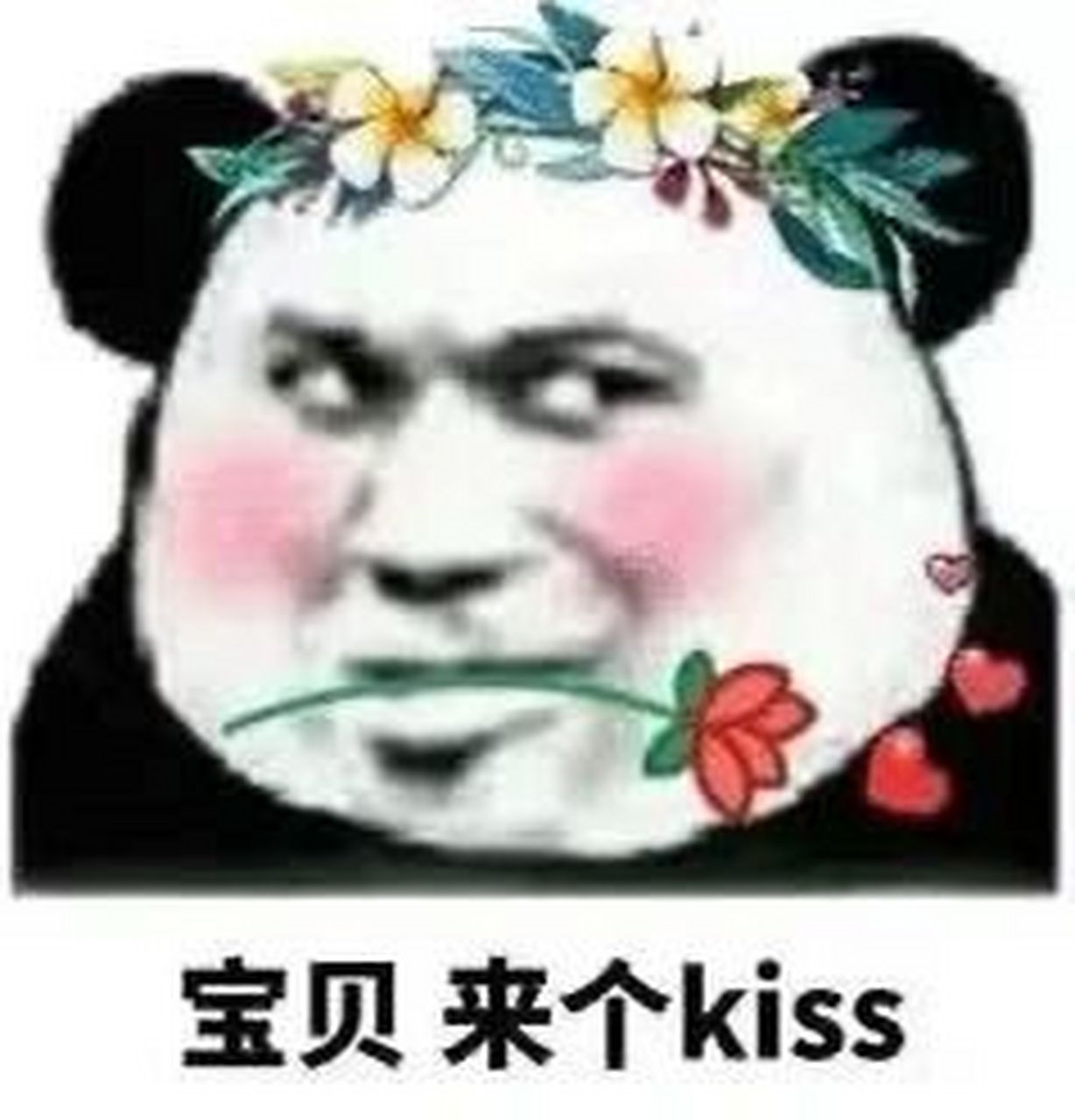 怼人表情包-写狗不行,做狗挺行 图源网络 侵权必删