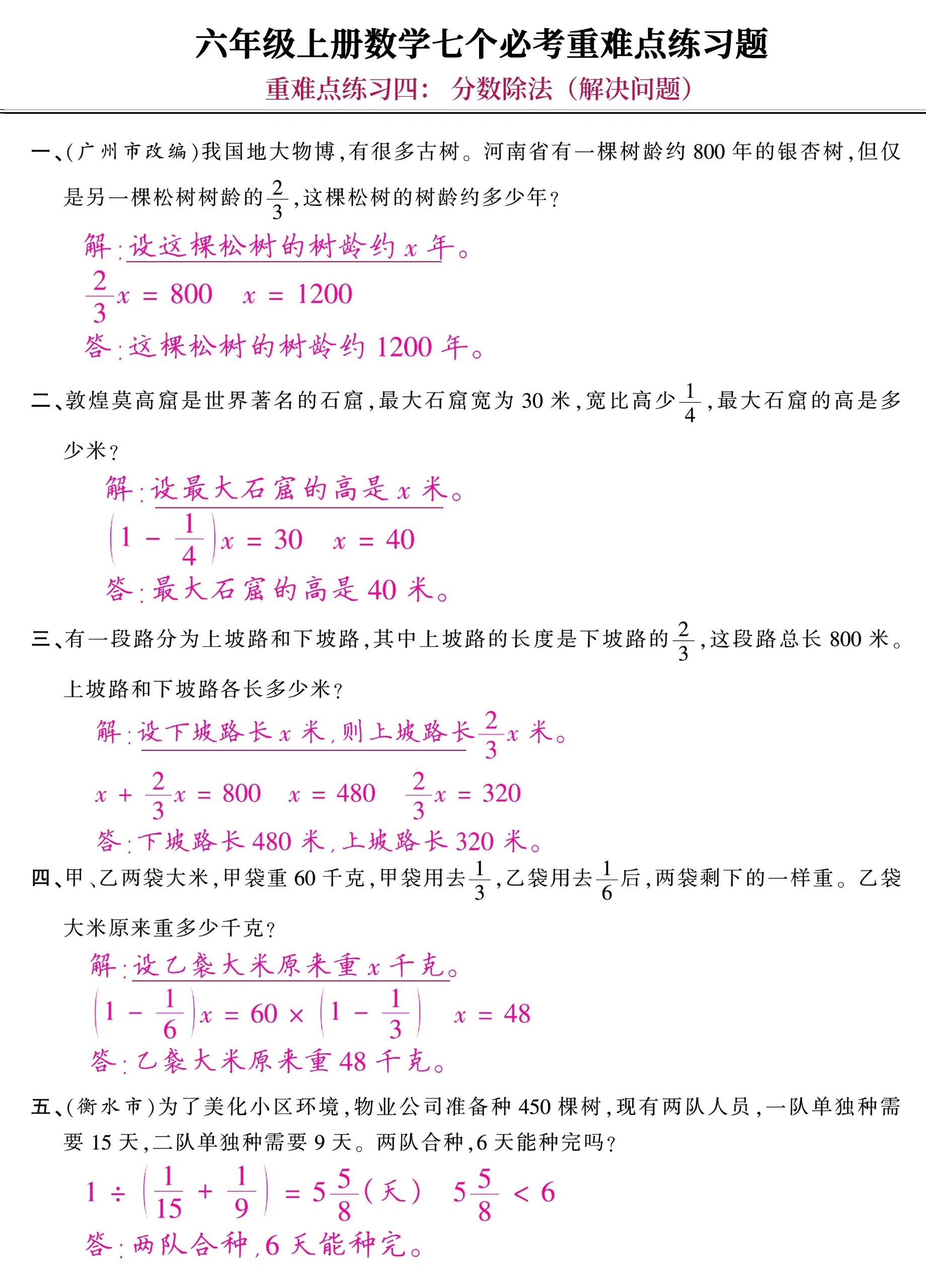 六年级上册数学七大重难点题型专练