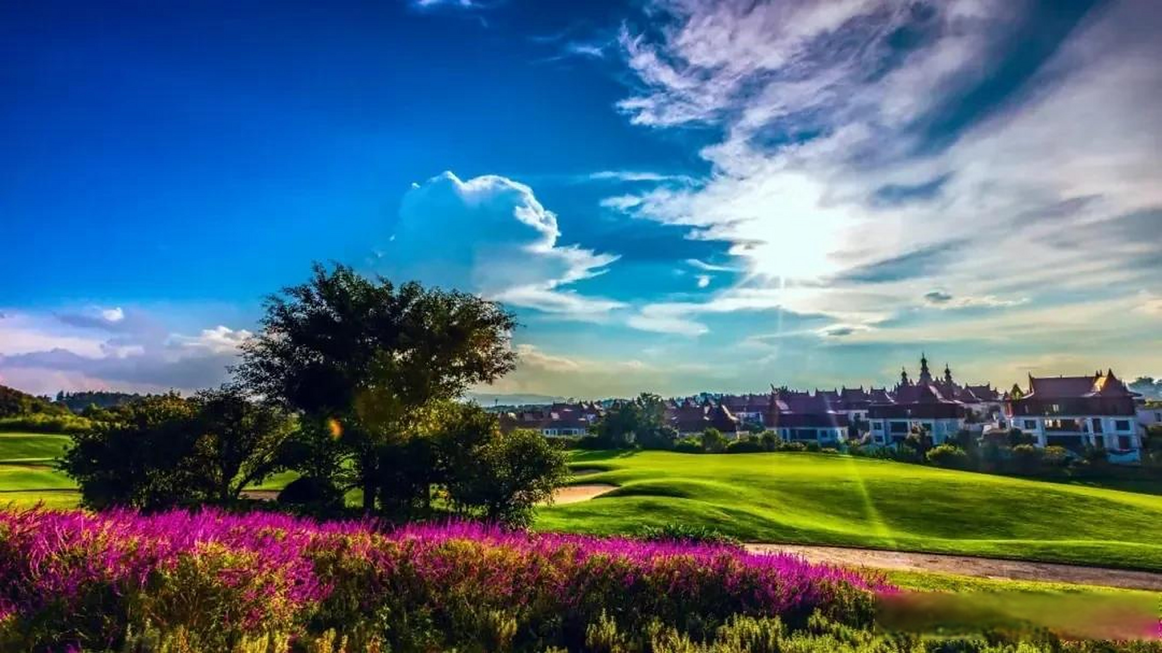 5℃的夏天,这里是西双版纳,你知道勐巴拉吗?