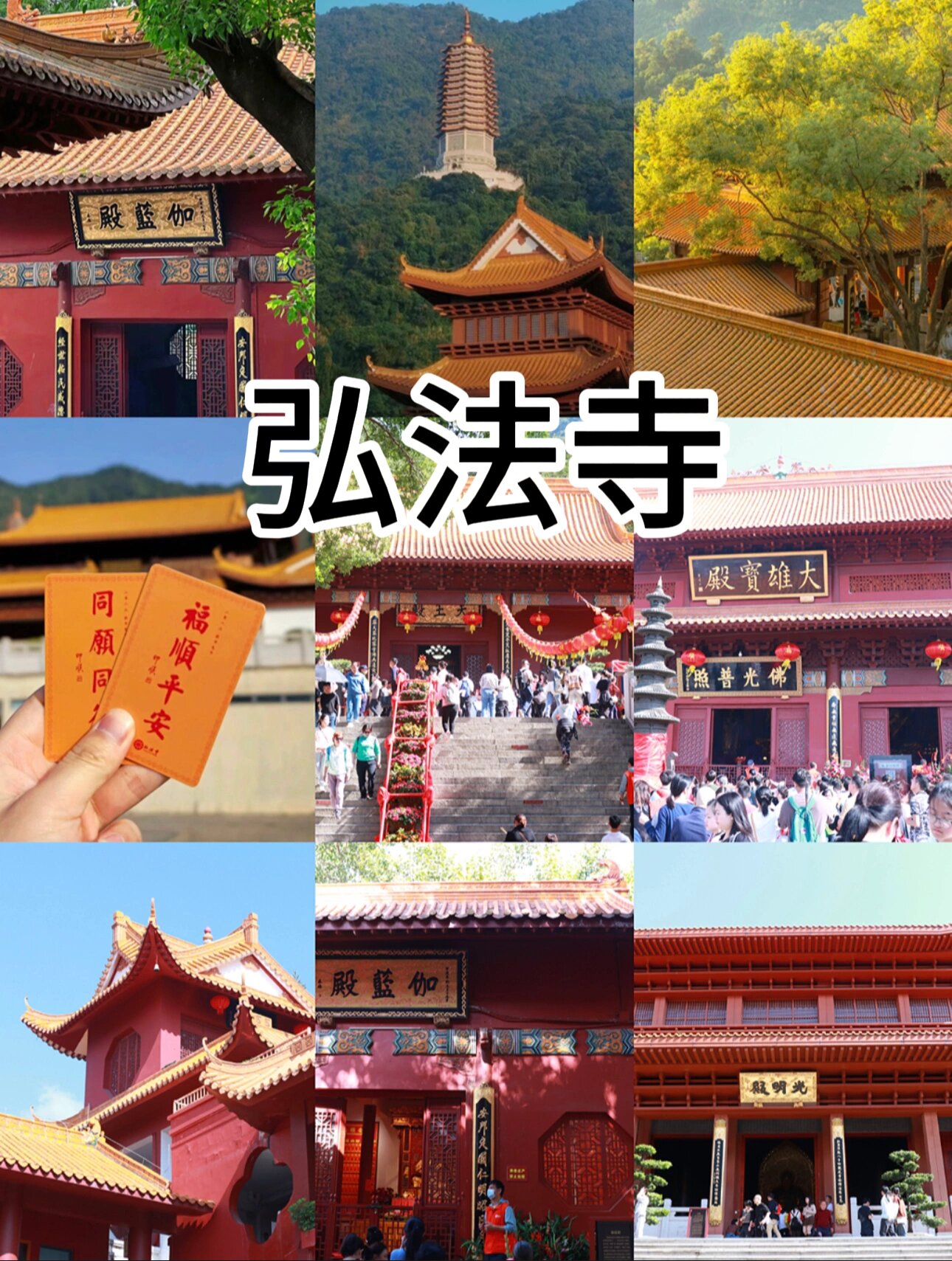 深圳拍照丨最灵的寺庙 弘法寺 "有求必應