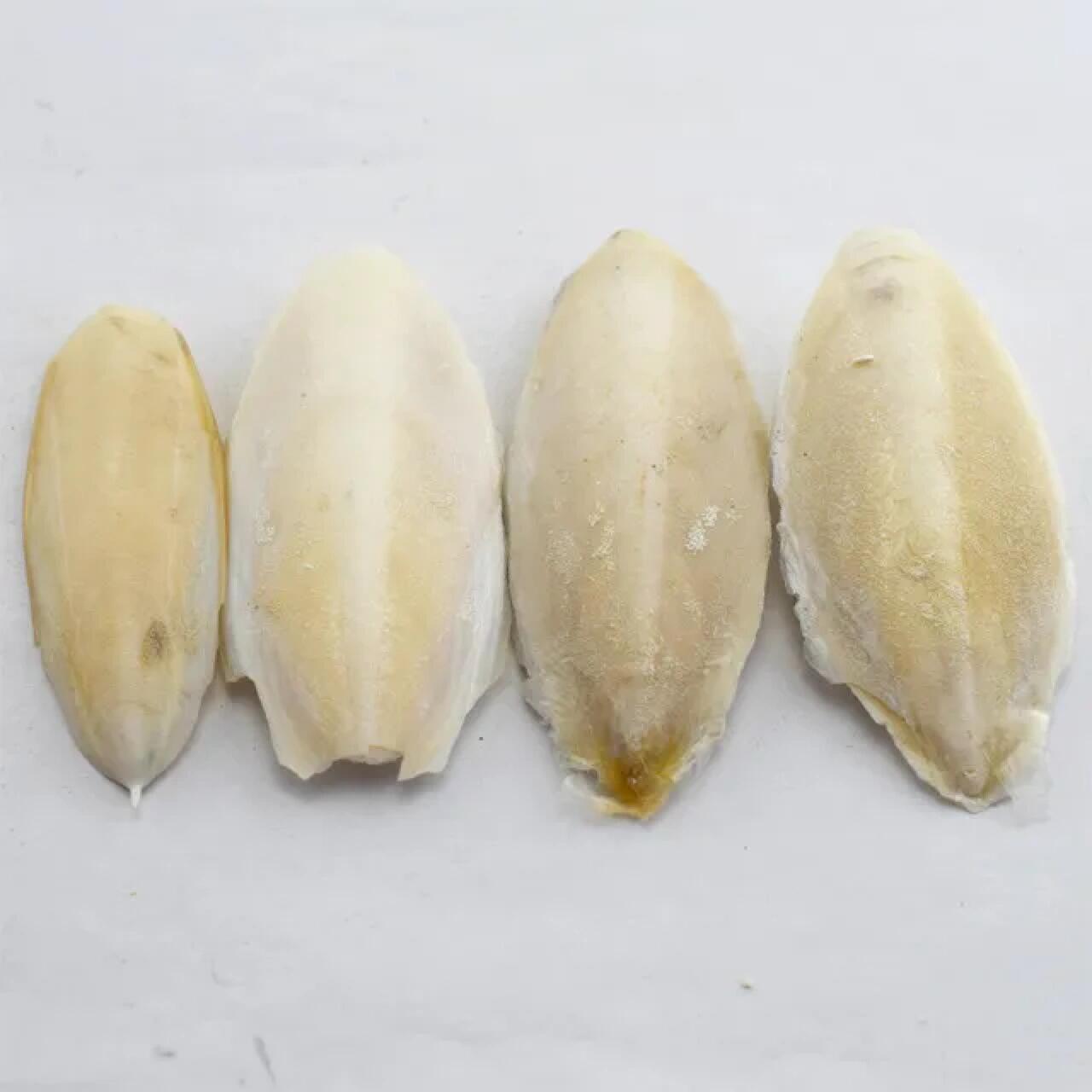 它是海里的一种乌贼的内壳,是天然止血止酸的中药.