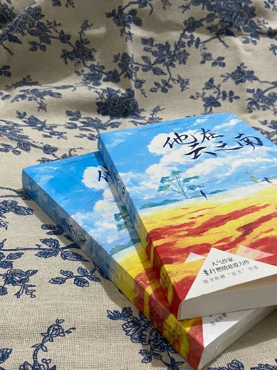 他在云之南 《他在云之南》 是我看过的印象最深刻的小说,讲的是缉毒