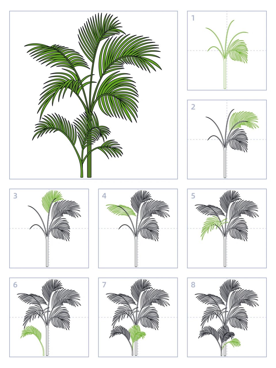 棕榈树花简笔画图片