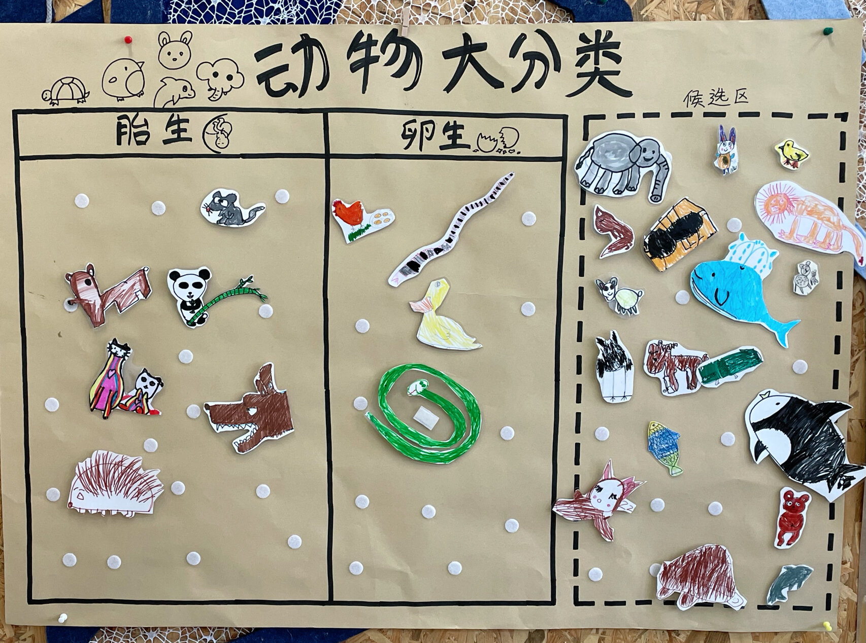 《动物世界真奇妙》胎生卵生 16615幼儿绘制喜欢的胎生动物或卵生