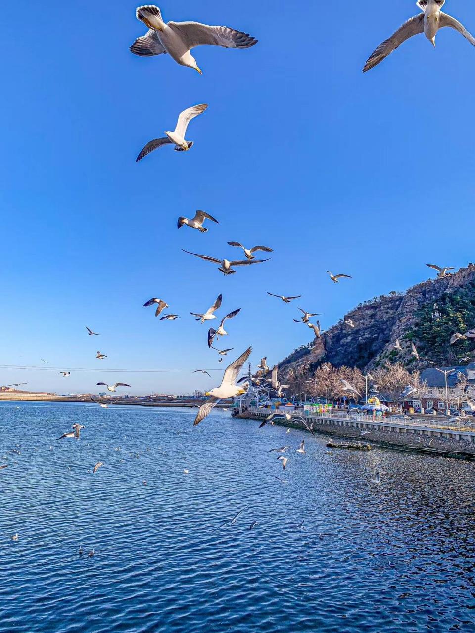 [庆祝]大连真的是一个非常适合旅游的城市,不仅消费不高,各种景点也多