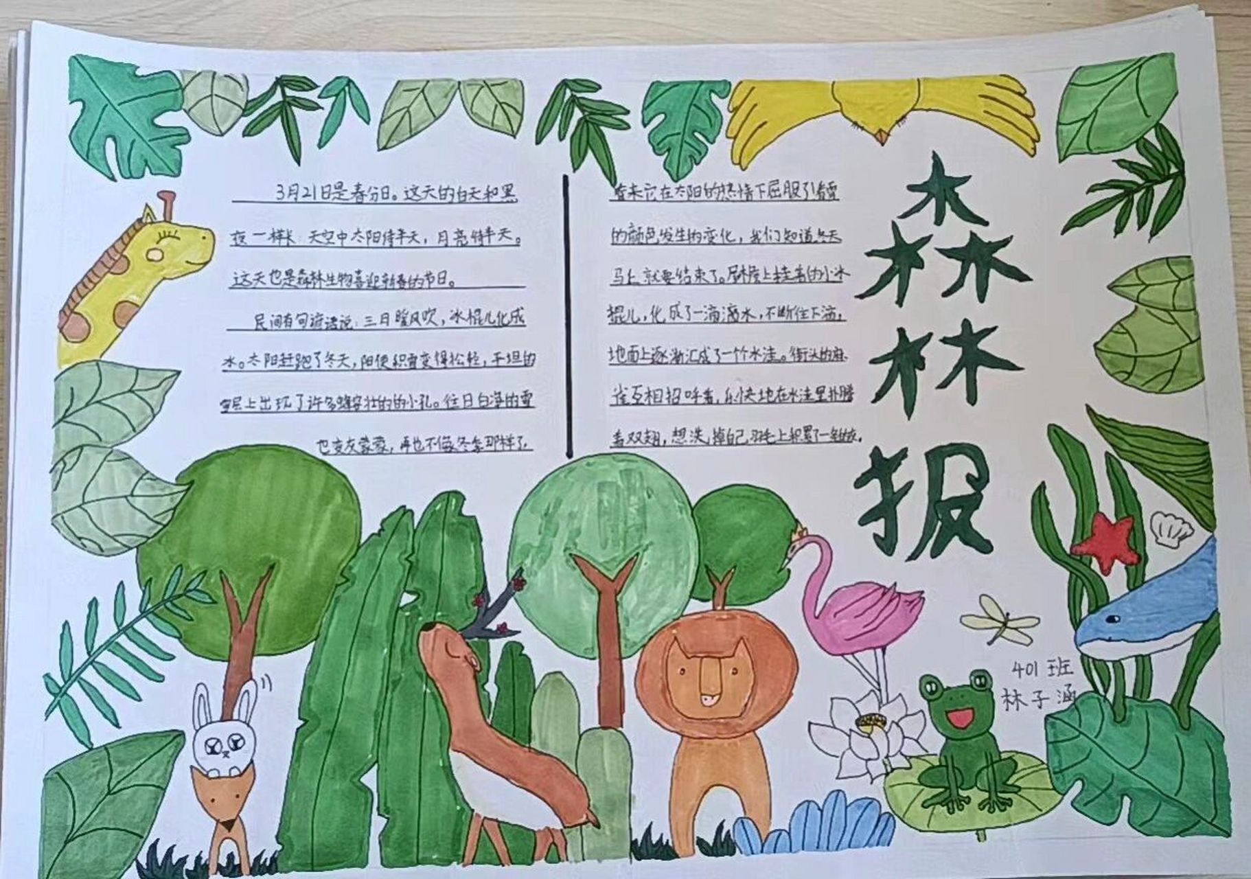 四年级课外书手抄报———《森林报》