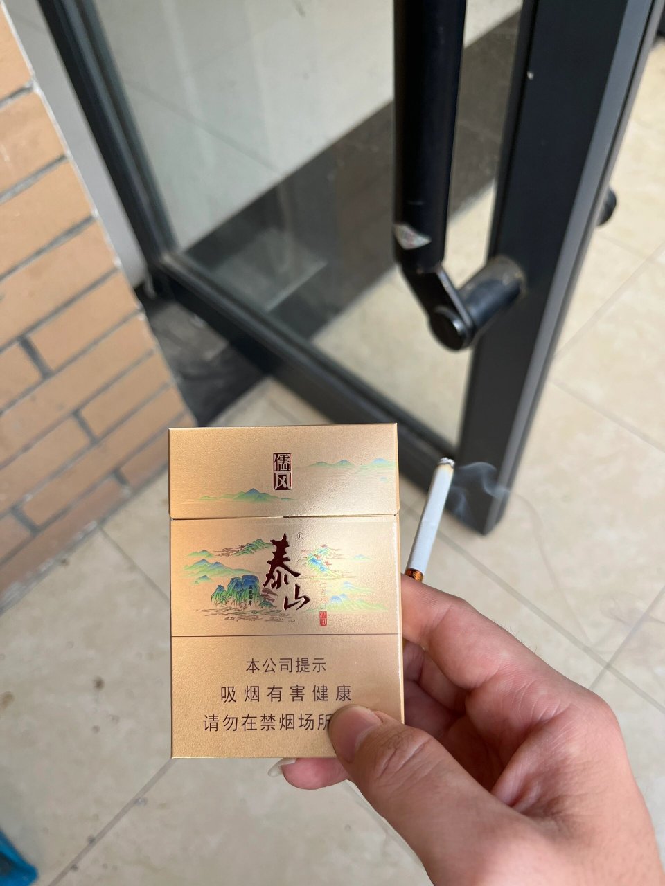 齐鲁青未了 仁者乐山-泰山儒风(双中支)