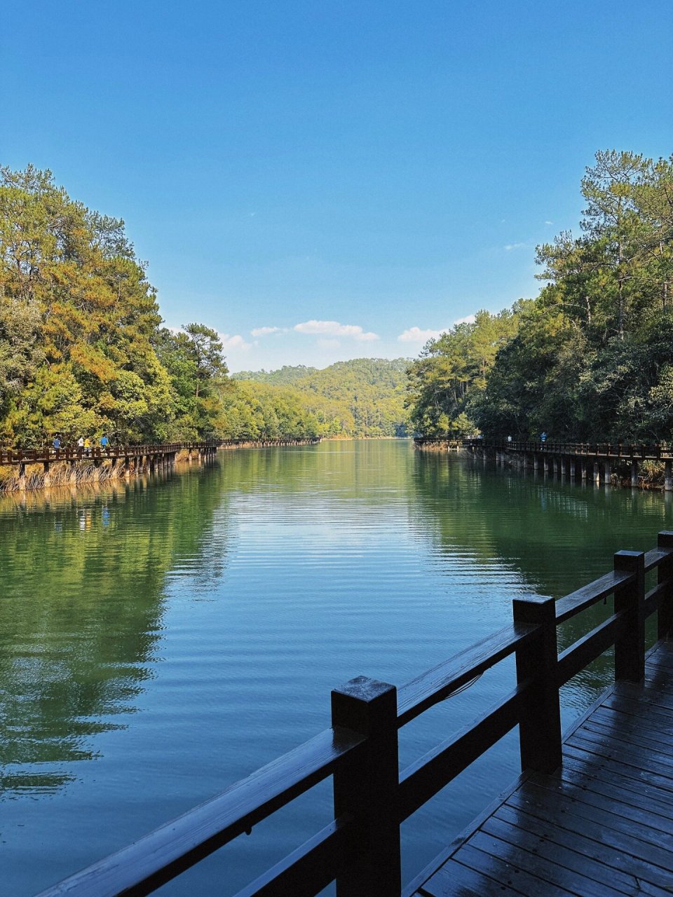 每周一山|城市轻徒步,普洱梅子湖栈道速走 今天心情down到了极点,整个