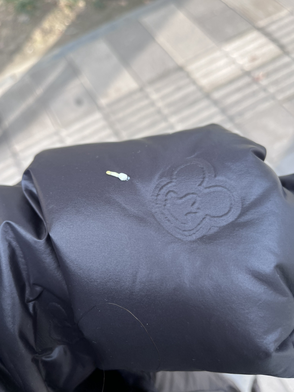 鸟屎掉衣服上预示着什么吗?