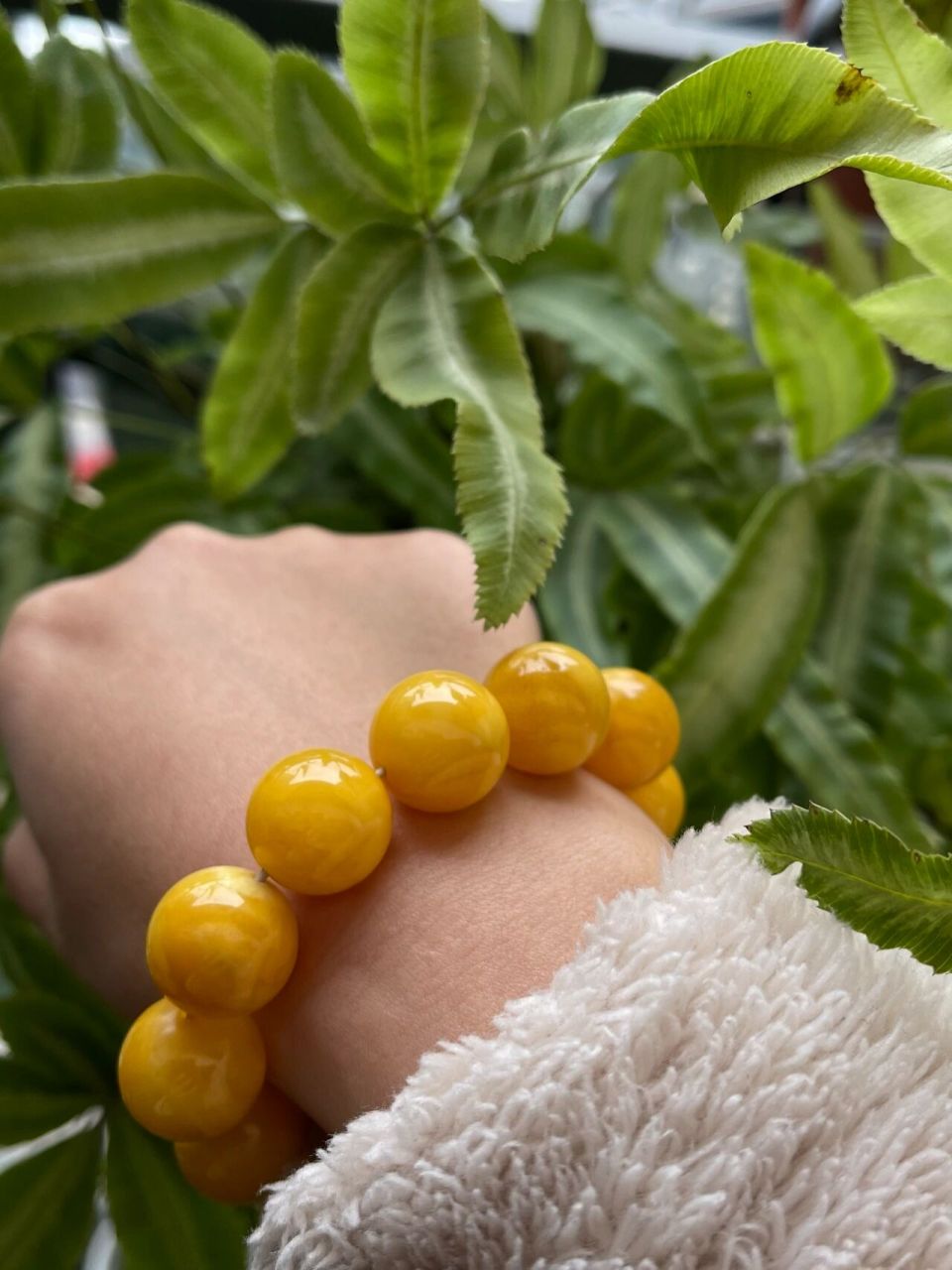 蜜蜡怎么变色了 八年前拉脱维亚带回来的蜜蜡串珠,由于工作关系一直没