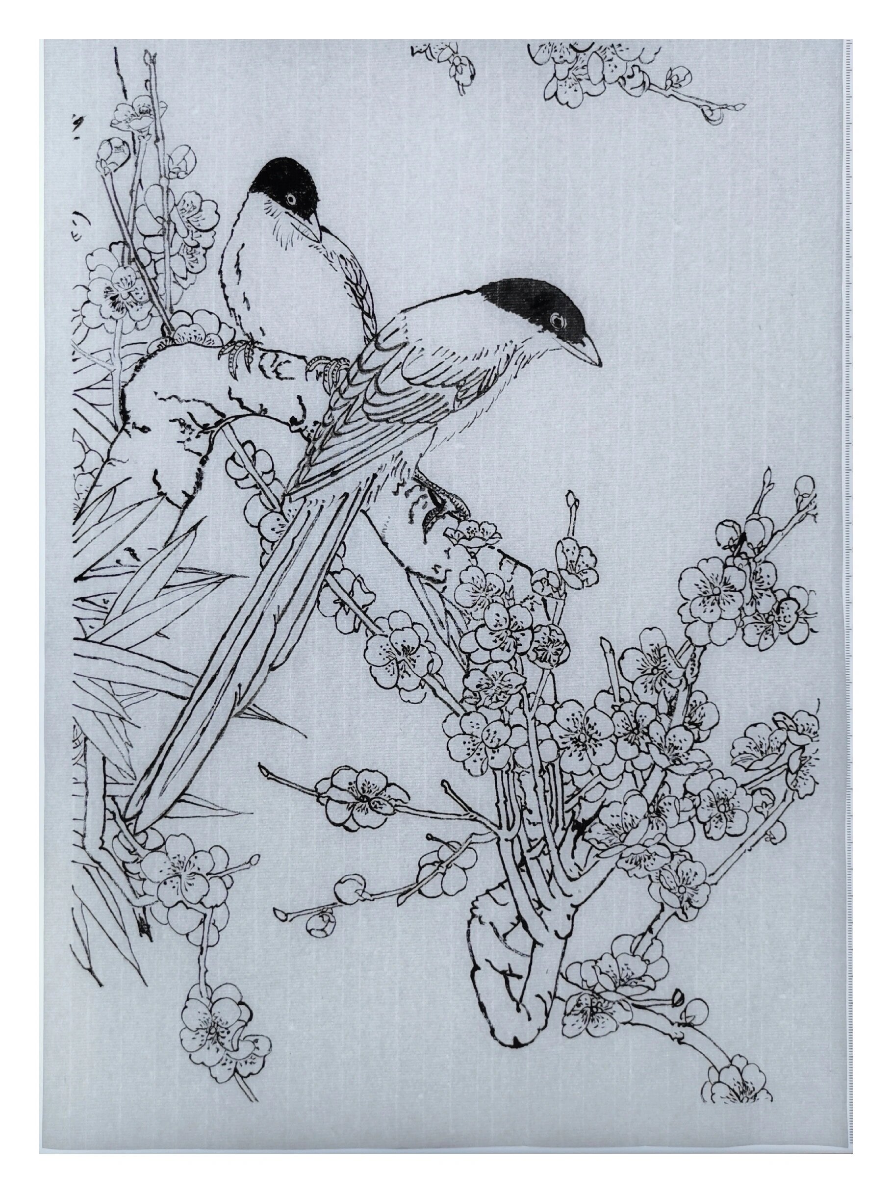 工笔画白描《花鸟图》四张