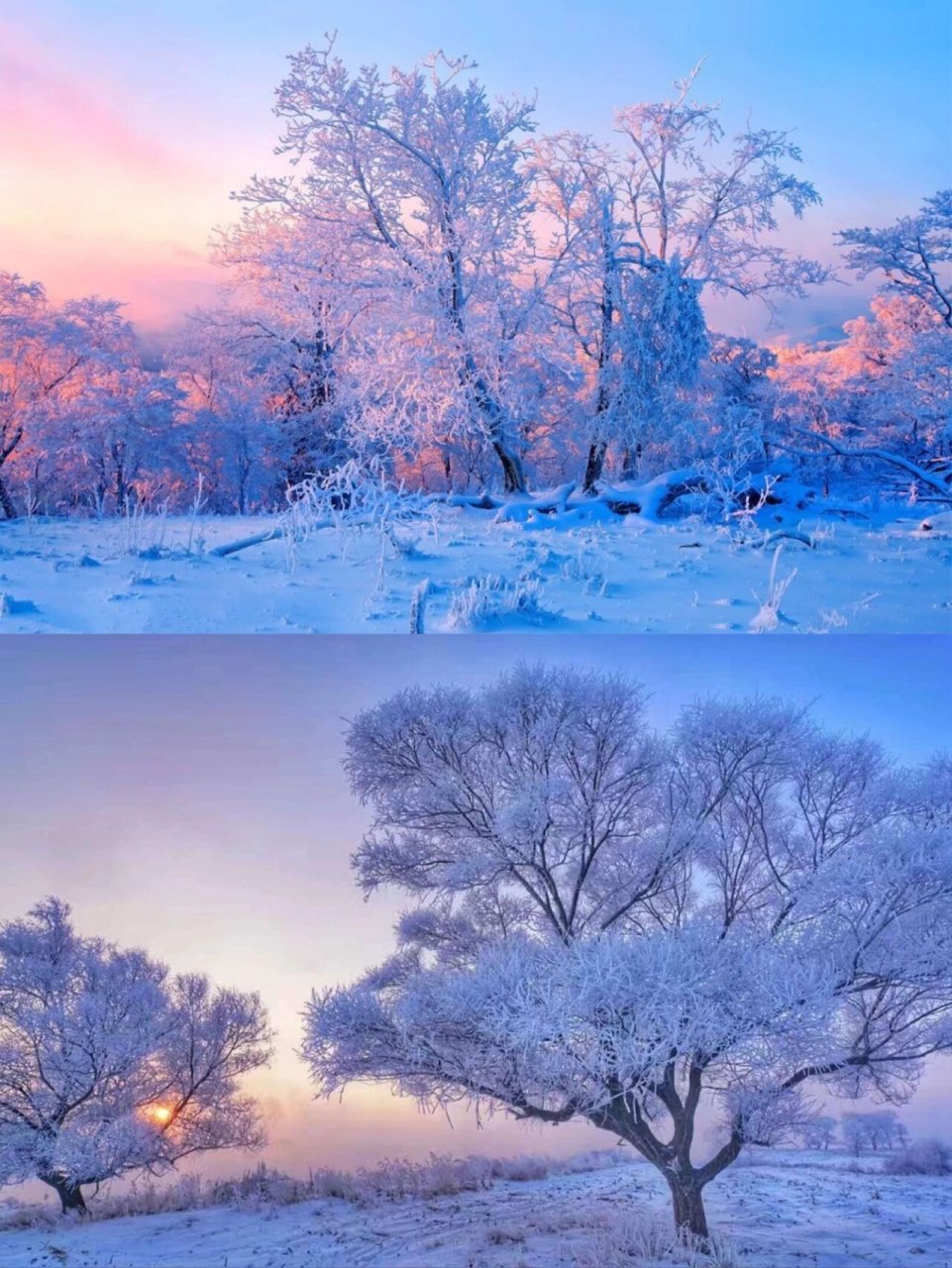 雾凇图片高清 雪景图片