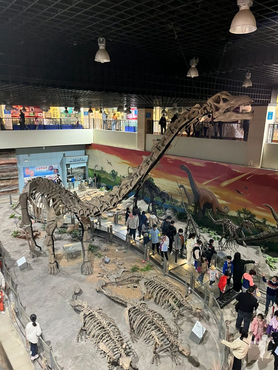 地质大学看恐龙03 早上8点半从邢台坐绿皮车出发,一小时到石家庄站