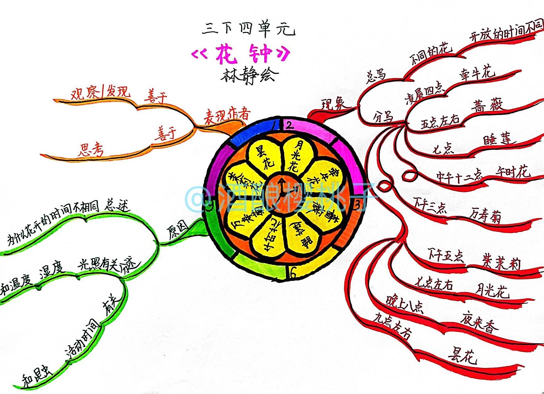 手绘思维导图——三下语文《花钟》