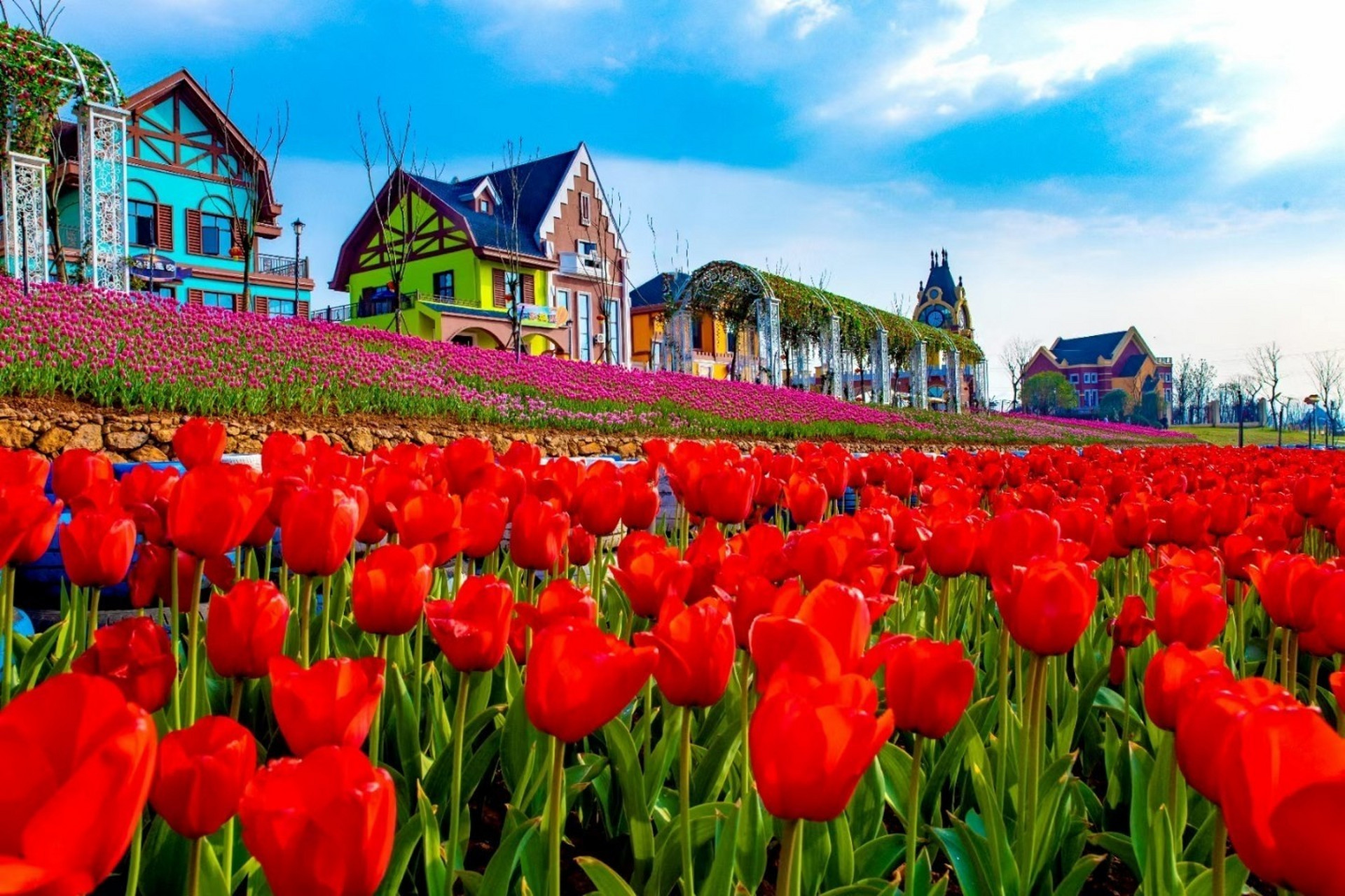 凯光新天地生态旅游区攻略 凯光新天地开园后深受游客朋友们的喜爱