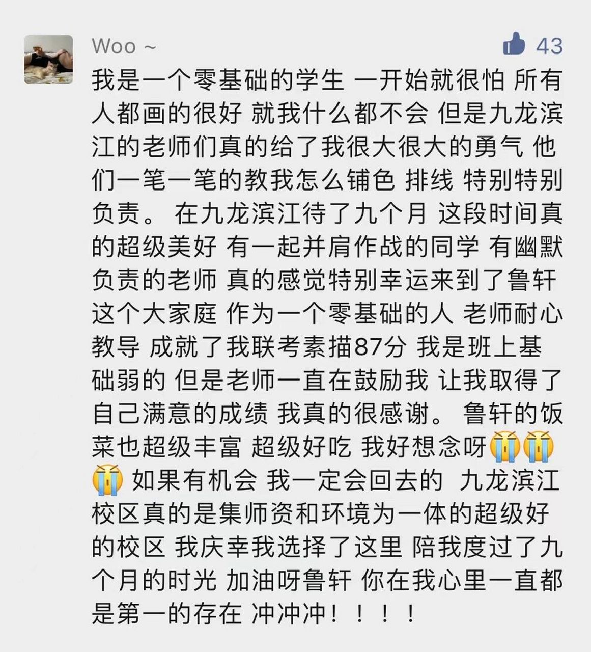 鲁轩画室口碑怎么样!