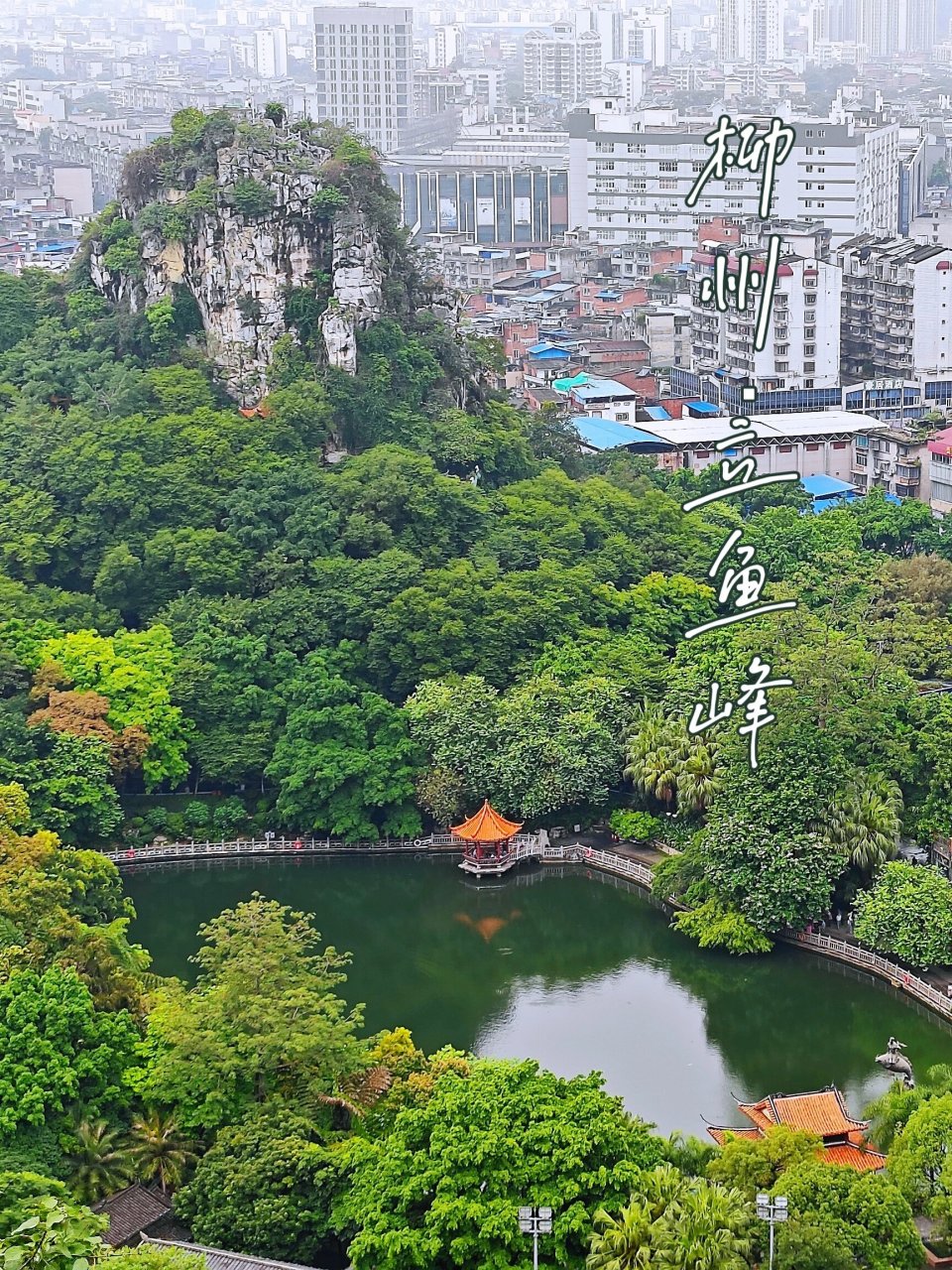 柳州立鱼峰公园|马鞍山侧小龙潭 柳州旅行攻略15|柳约city walk 从