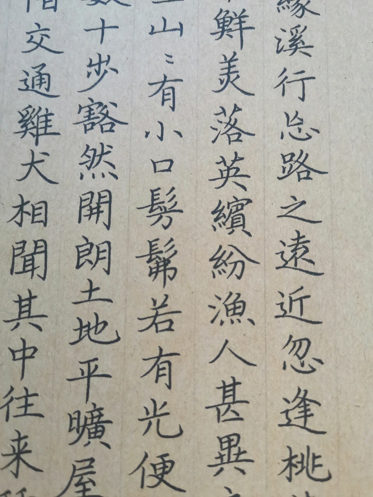 硬笔书法练习~《桃花源记》1