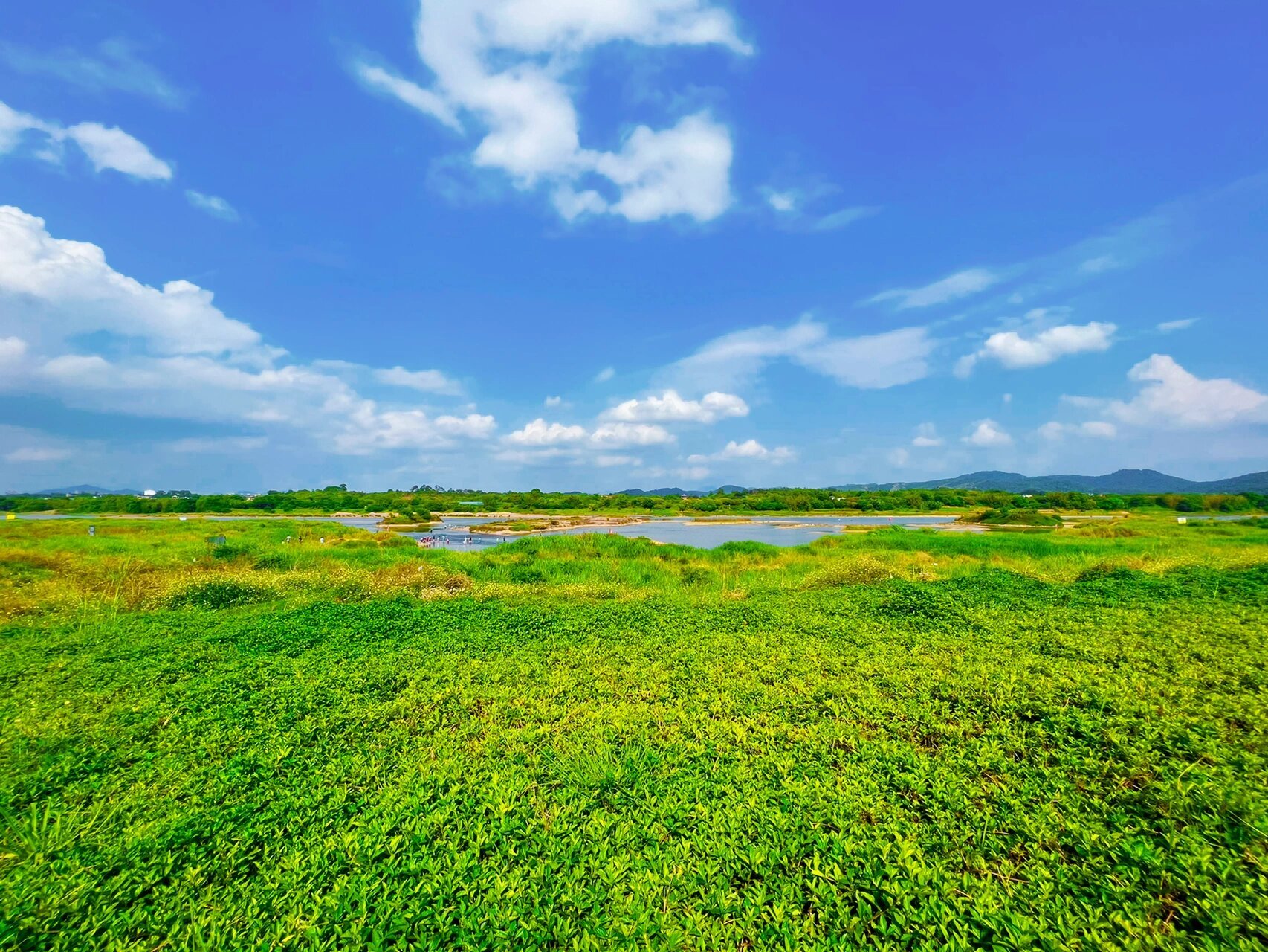 河源白鹭岛公园 从市区出发30分钟到达,位置在高新区.