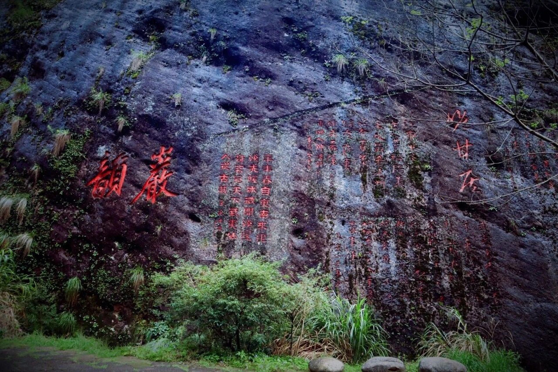 武夷山岩茶核心山场——九龙窠 久负盛名的武夷岩茶,不仅源于大自然的