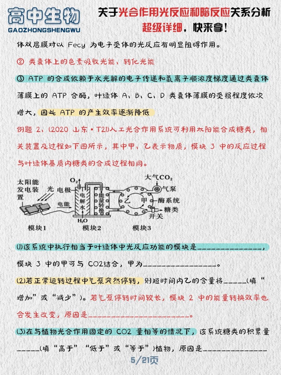 光反应暗反应流程图图片