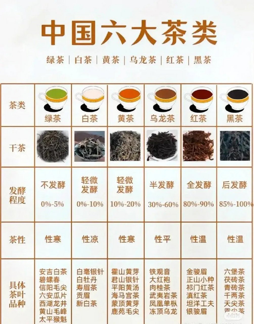 自己该喝什么,一目了然!