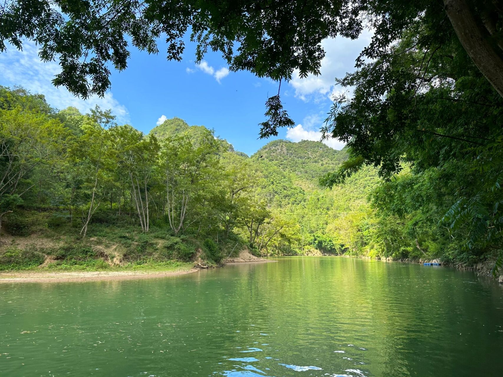 夏日避暑记|安顺格凸河 📍位于贵州省安顺市紫云县的"格凸河"景区不