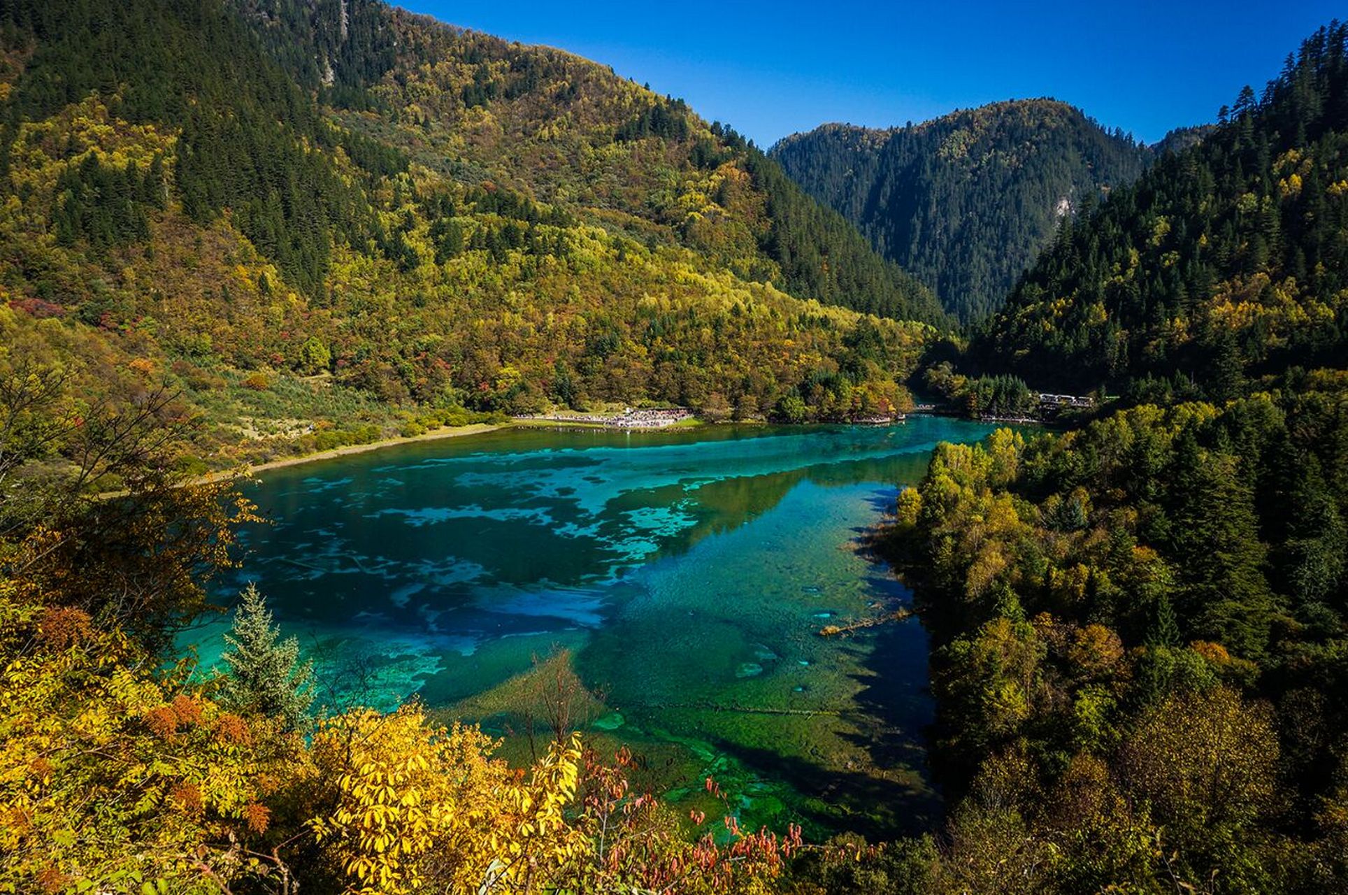 九寨沟自然保护区位于四川省阿坝藏族羌族自治州,是中国著名的自然