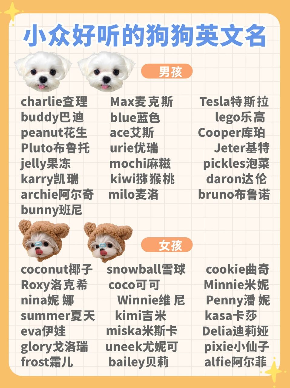 73少重复又好听的狗狗英文名 女宝男宝98英文名字合集~ 准备养