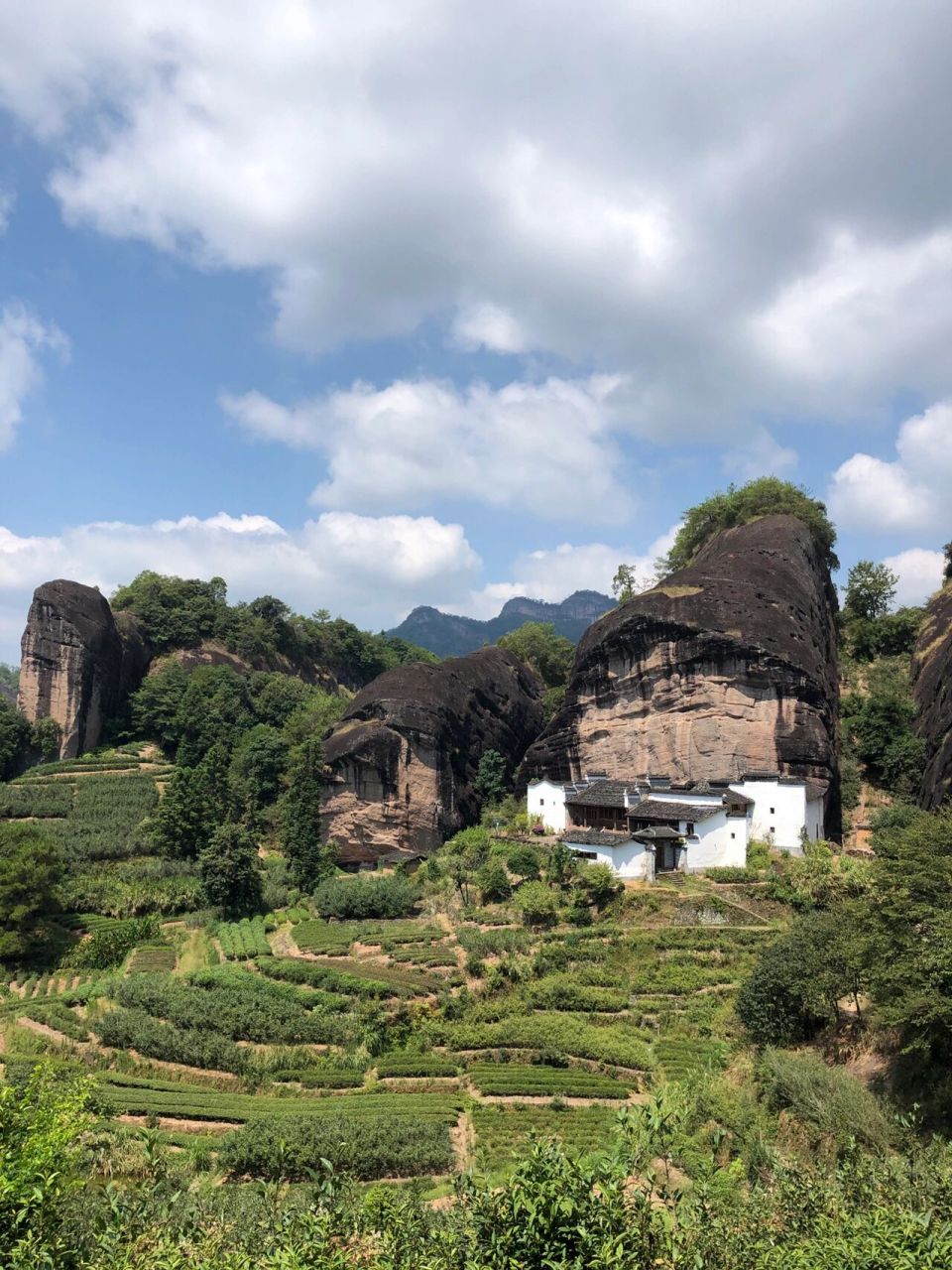 武夷山正岩山场——猫耳石 山行至馬頭岩,當下喝茶的人都知道馬頭岩