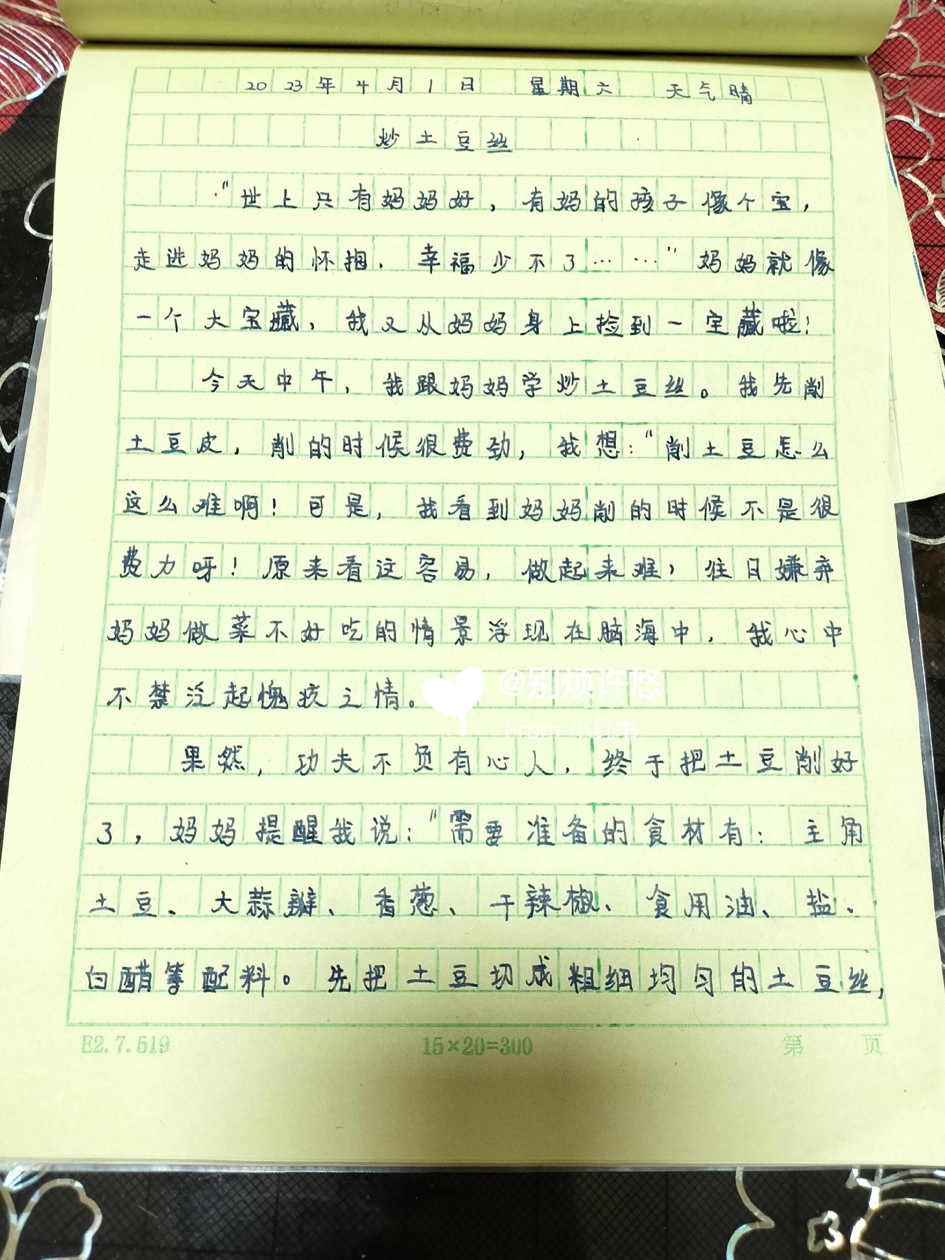 日记600字手写图片