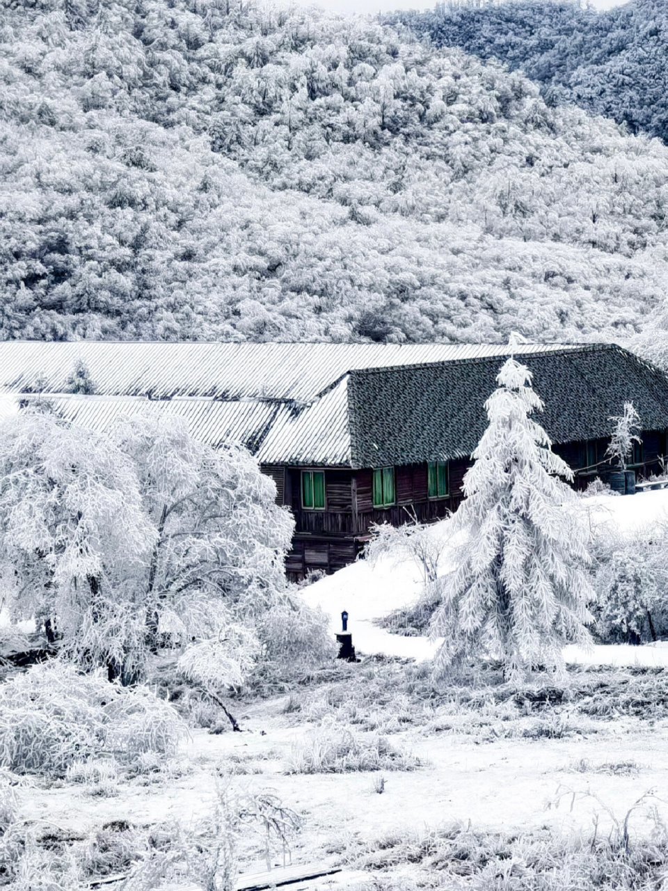 重庆周边下雪景点图片