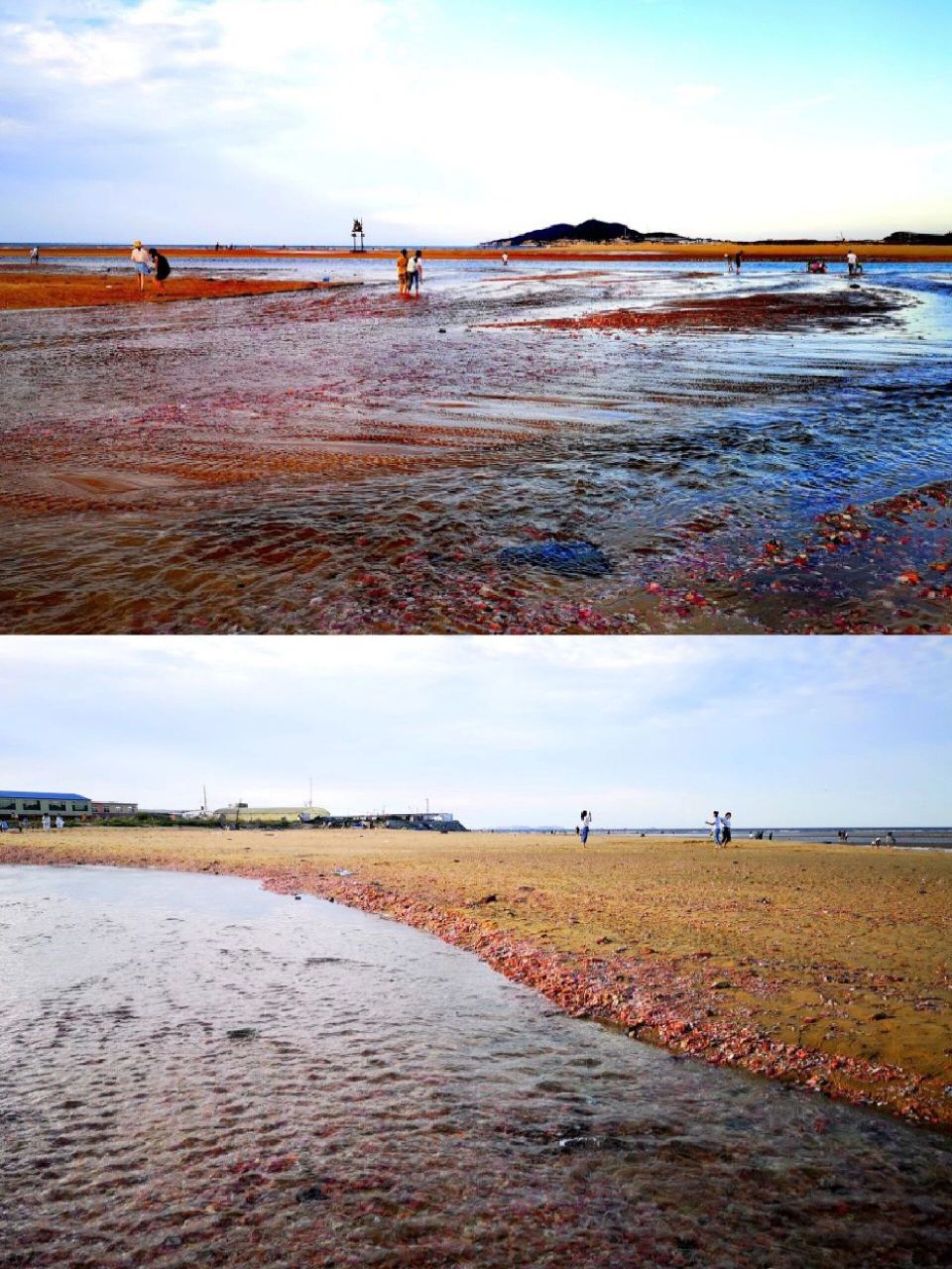 烟台牟平旅游攻略|看日出日落吃海鲜吃烧烤 821.