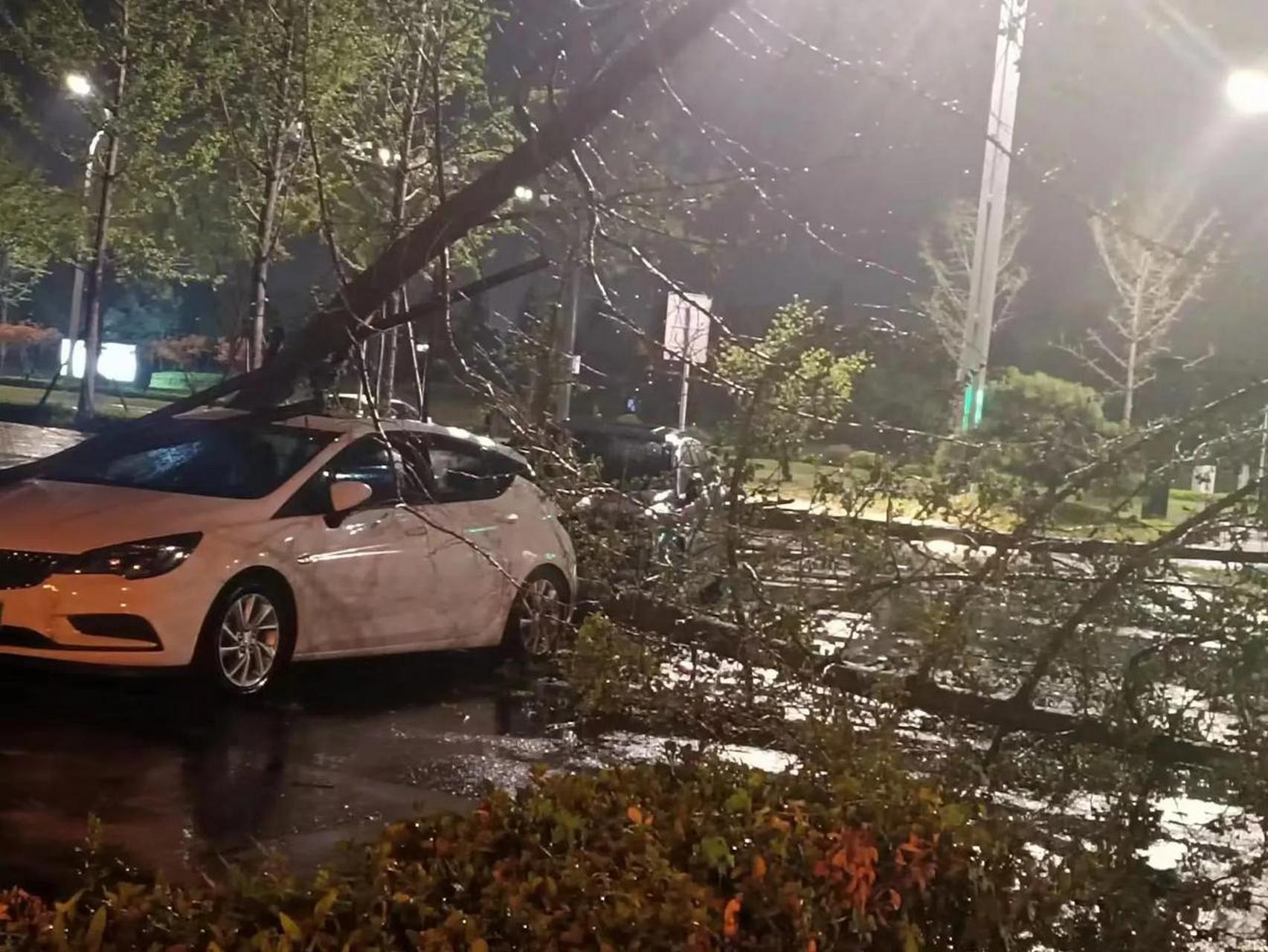 夜晚狂风暴雨图片大全图片