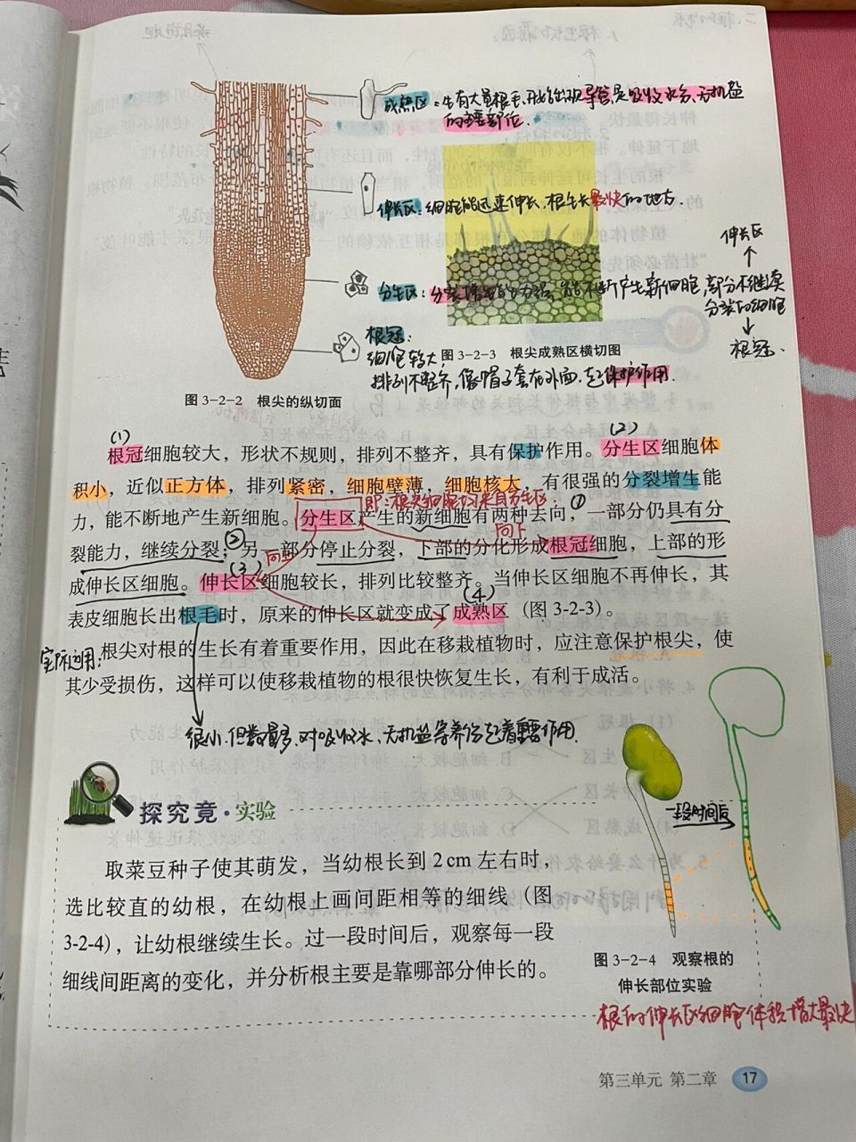 冀少版 |八上生物 |《根的生長》 這節課重點掌握根尖的結構及功能,書