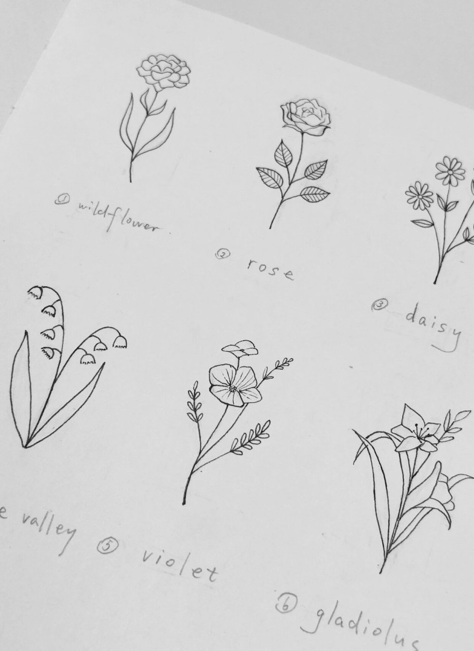 植物简笔小画 1.	小野花 2.	玫瑰 3.	小雏菊 4.	铃兰 5.	紫罗兰 6.