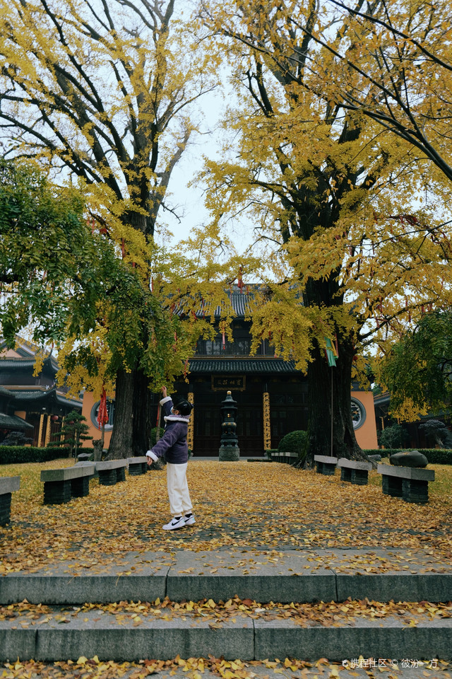 超强攻略_玩转上海庄严寺之行