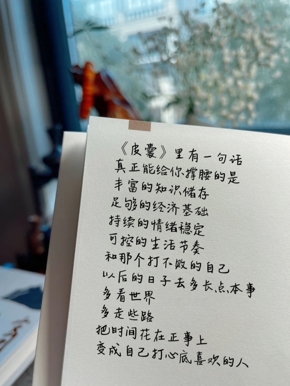 《皮囊》经典语录 皮囊里有一句话,真正能给你撑腰的是,丰富的知识