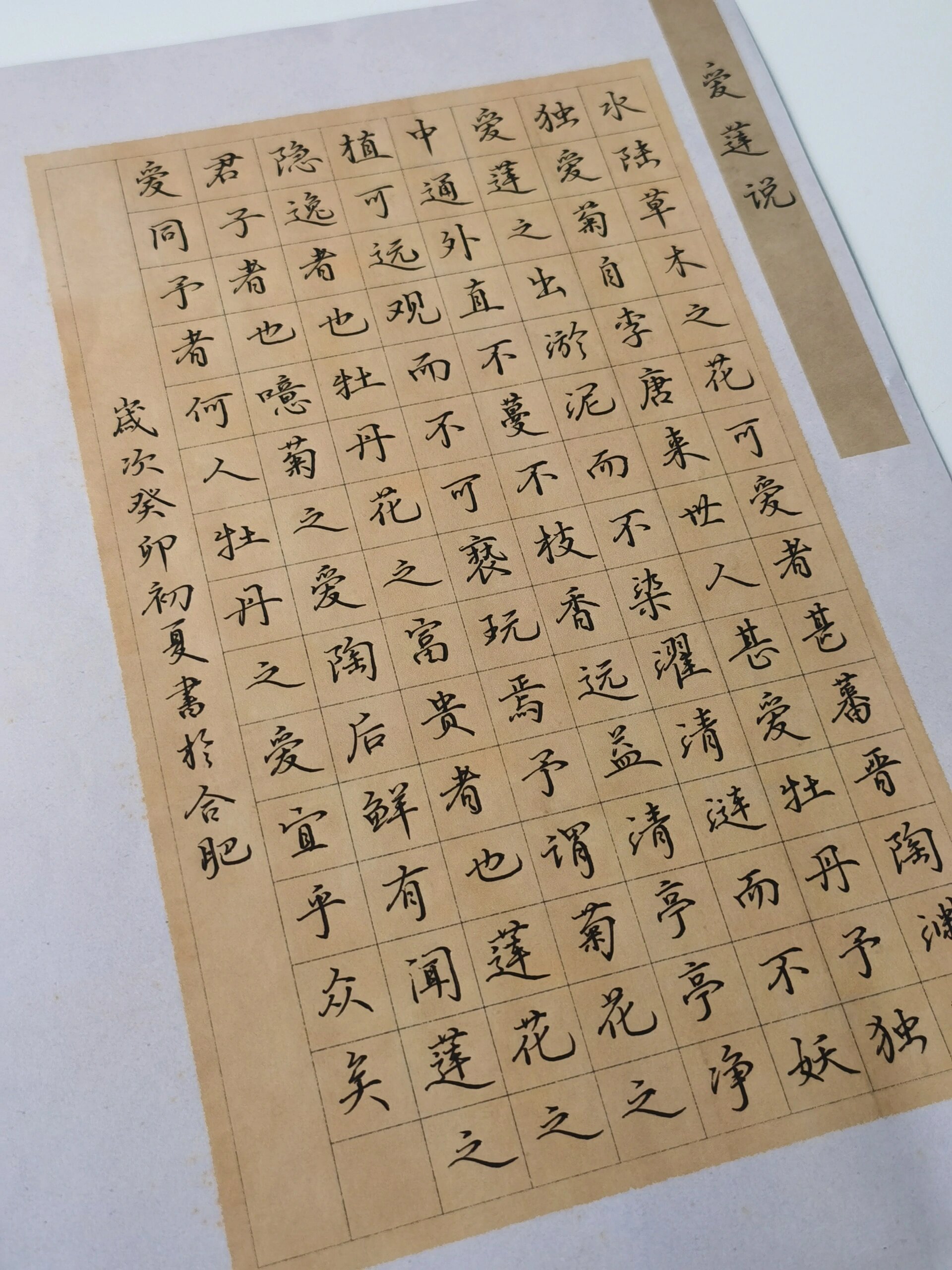 硬笔行书一篇《爱莲说》 周敦颐《爱莲说》试用于廉政主题