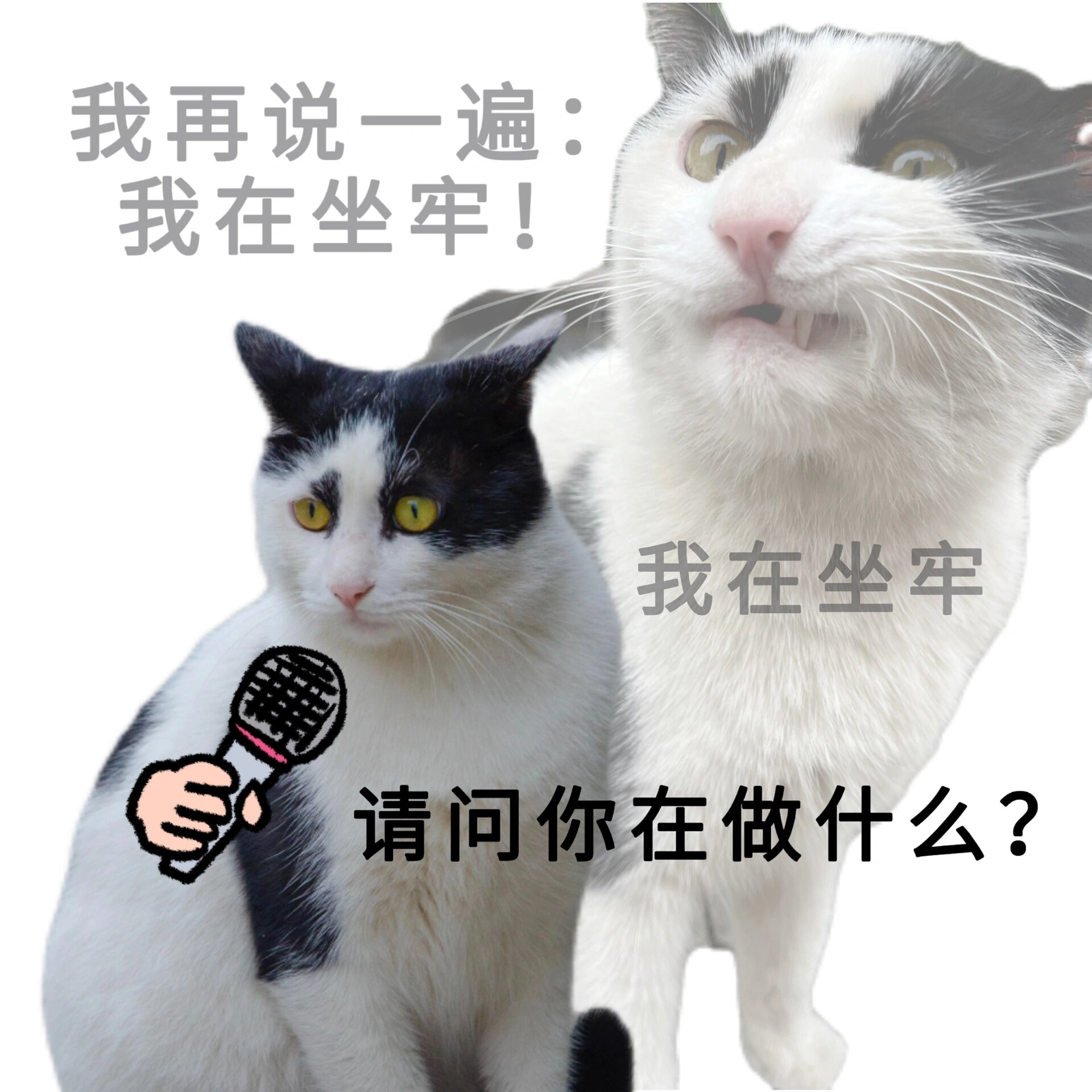 一组大学生精神状态表情包