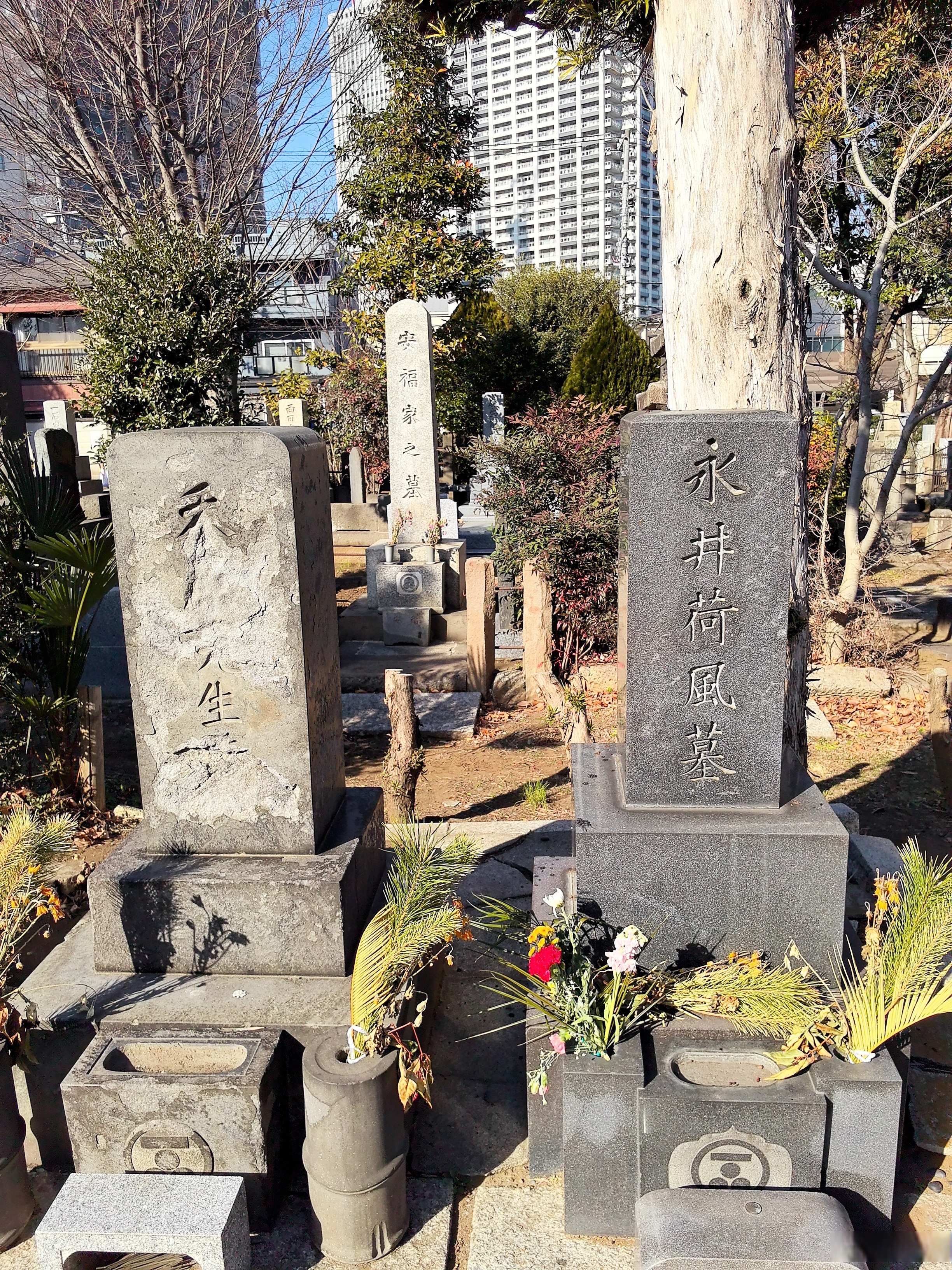 330】在永井荷风墓地感受反骨者的美学 ◆《日本华侨报》总主笔