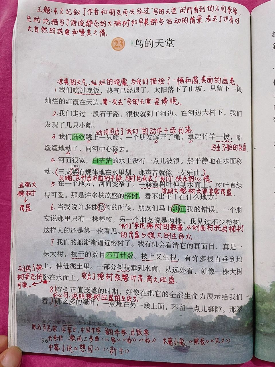 五上语文23《鸟的天堂》课堂笔记 今日打卡949494