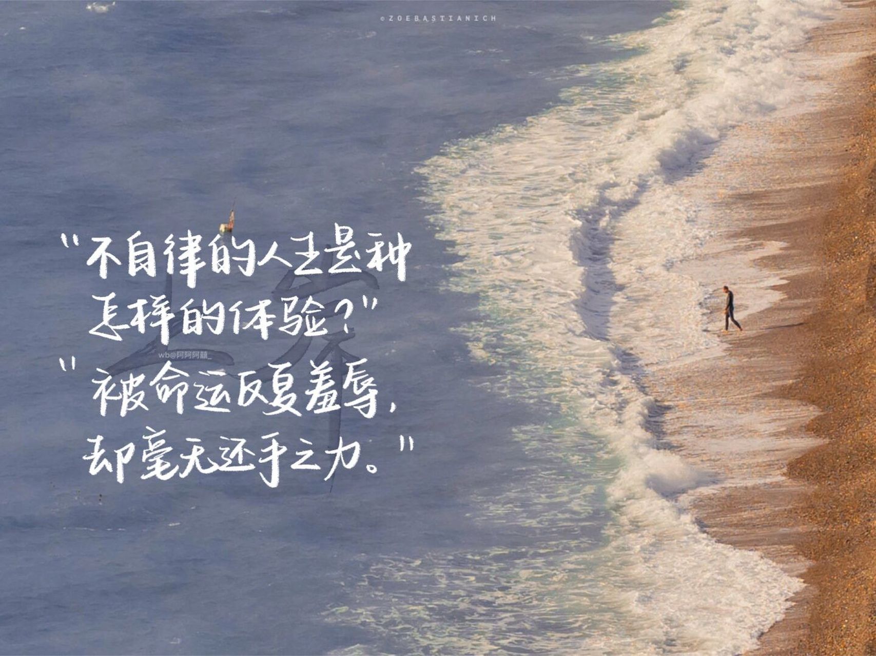 手写|ipad壁纸|不自律的人生是什么体验 骂醒自己系列也提上日程安排