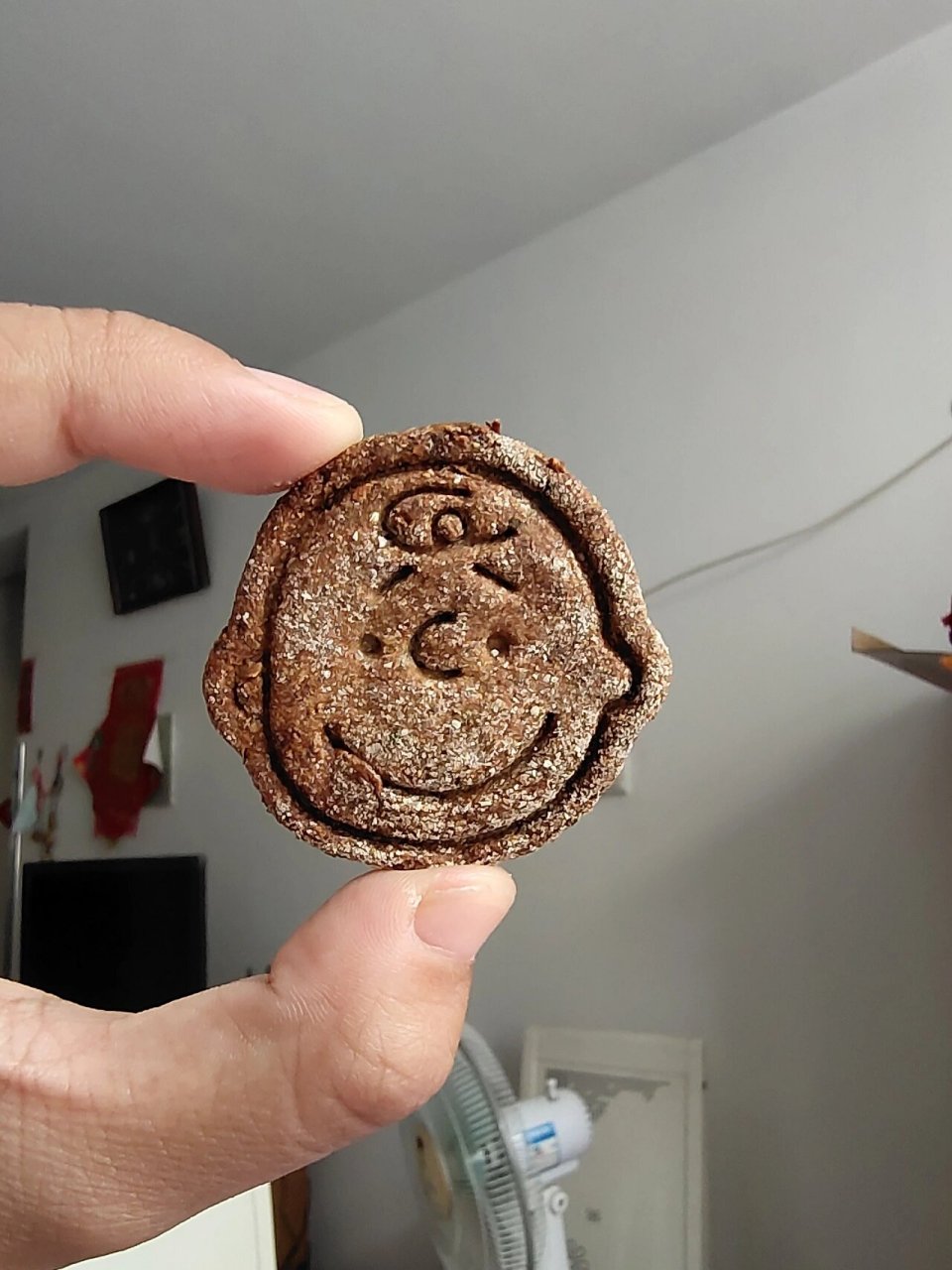 空气炸锅自制仓鼠磨牙饼 拼多多上买的糊糊,赠了羊奶粉和一个小颗粒的