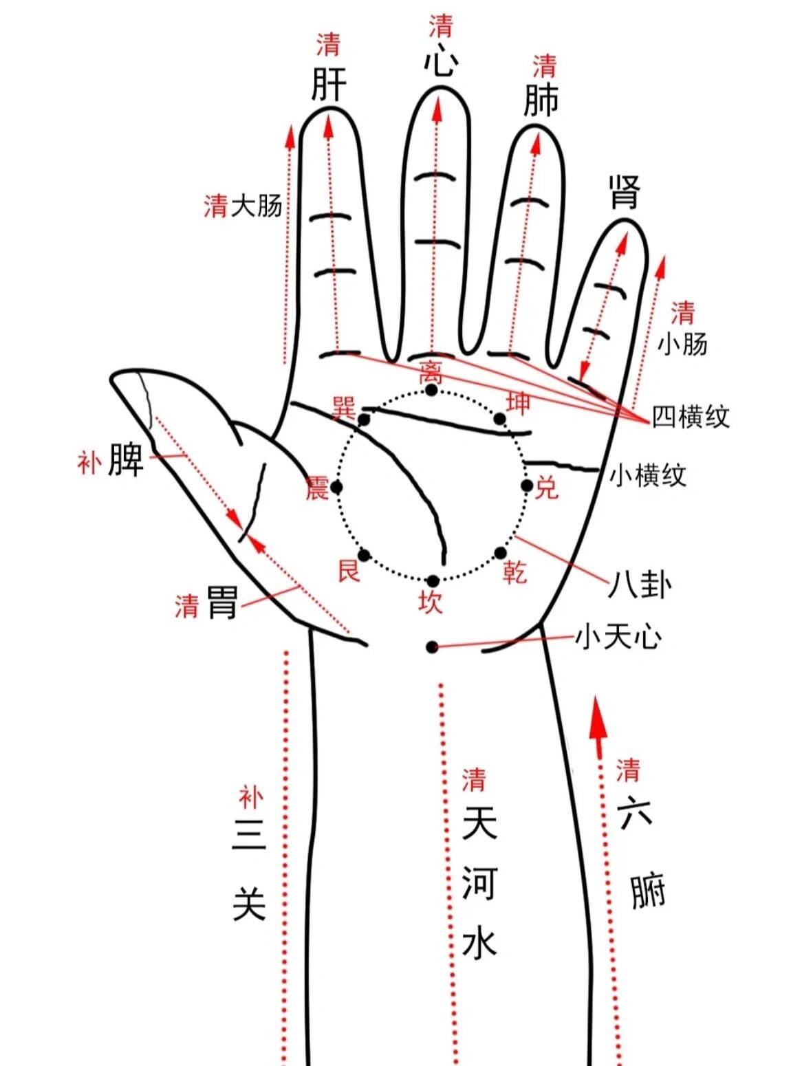常用小儿推拿穴位图 沈阳市幸福华贯职业培训学校免费开办小儿推拿